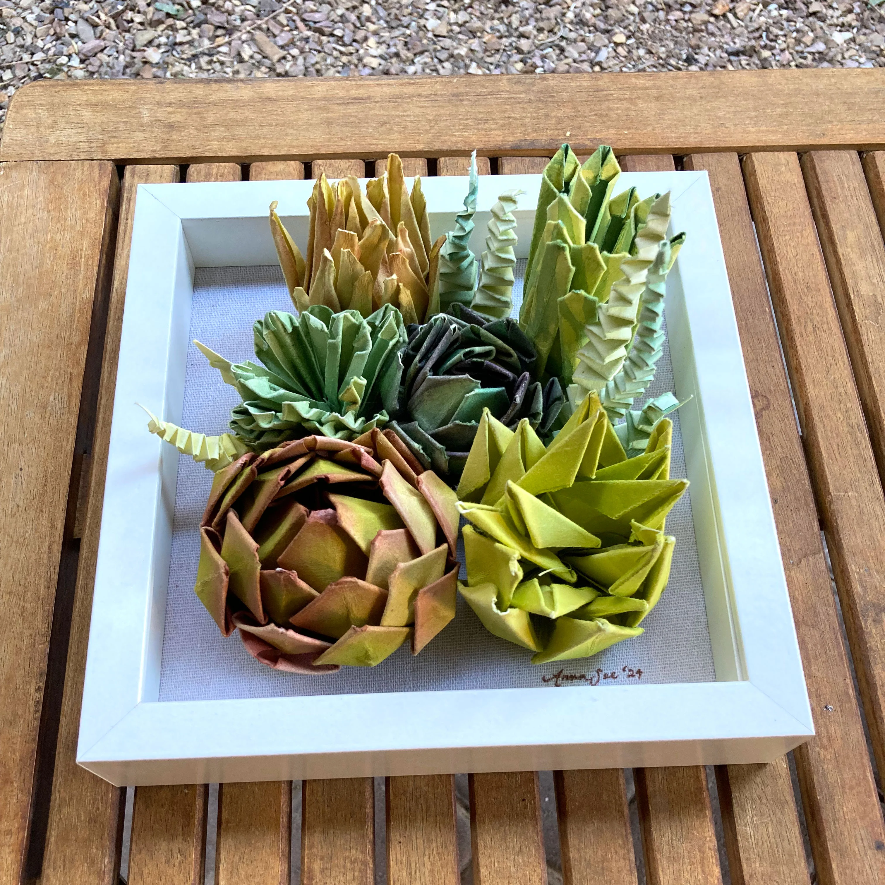 Plants & Flowers 2024 - Anna See - "Succulents 1" - Image 3