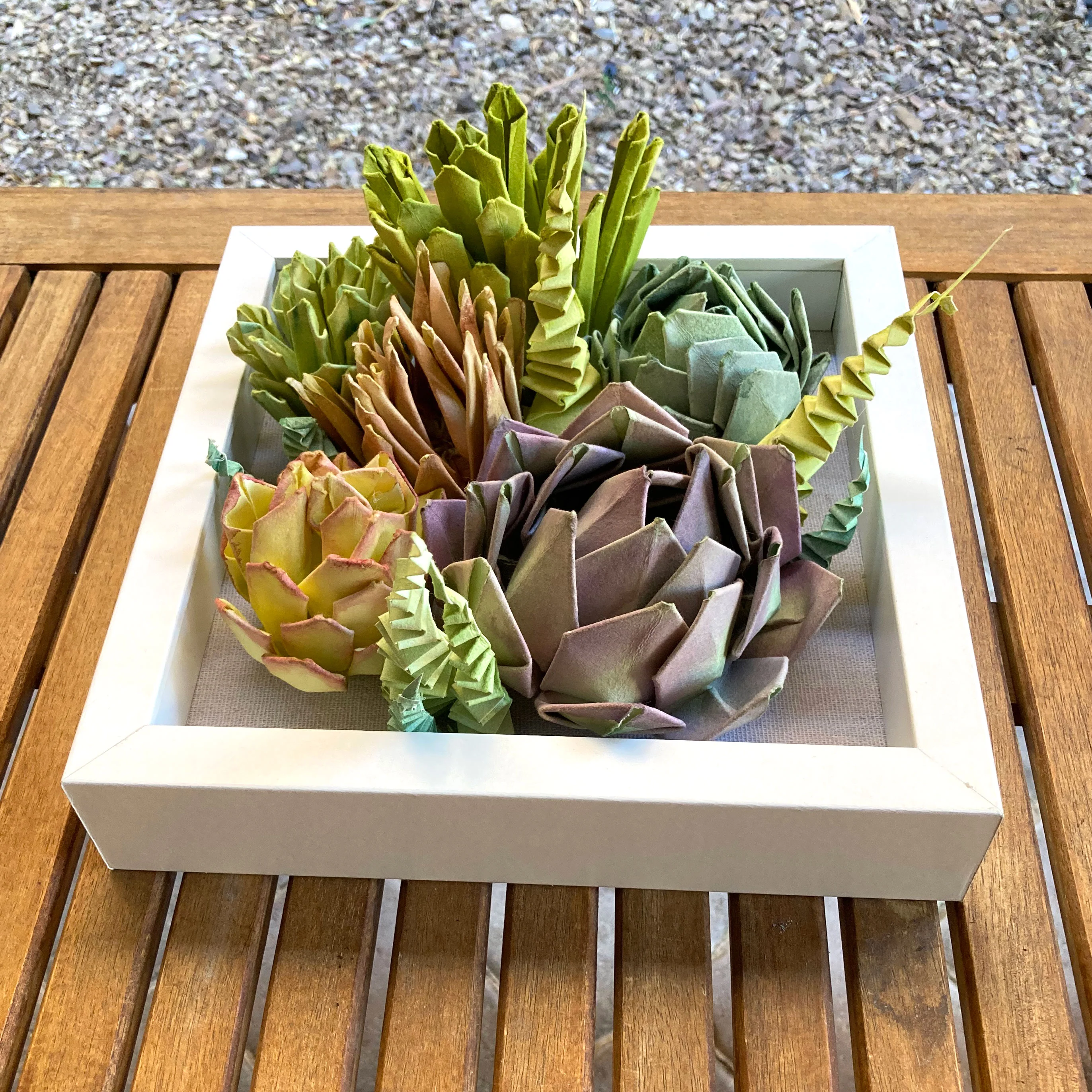 Plants & Flowers 2024 - Anna See - "Succulents 2" - Image 4