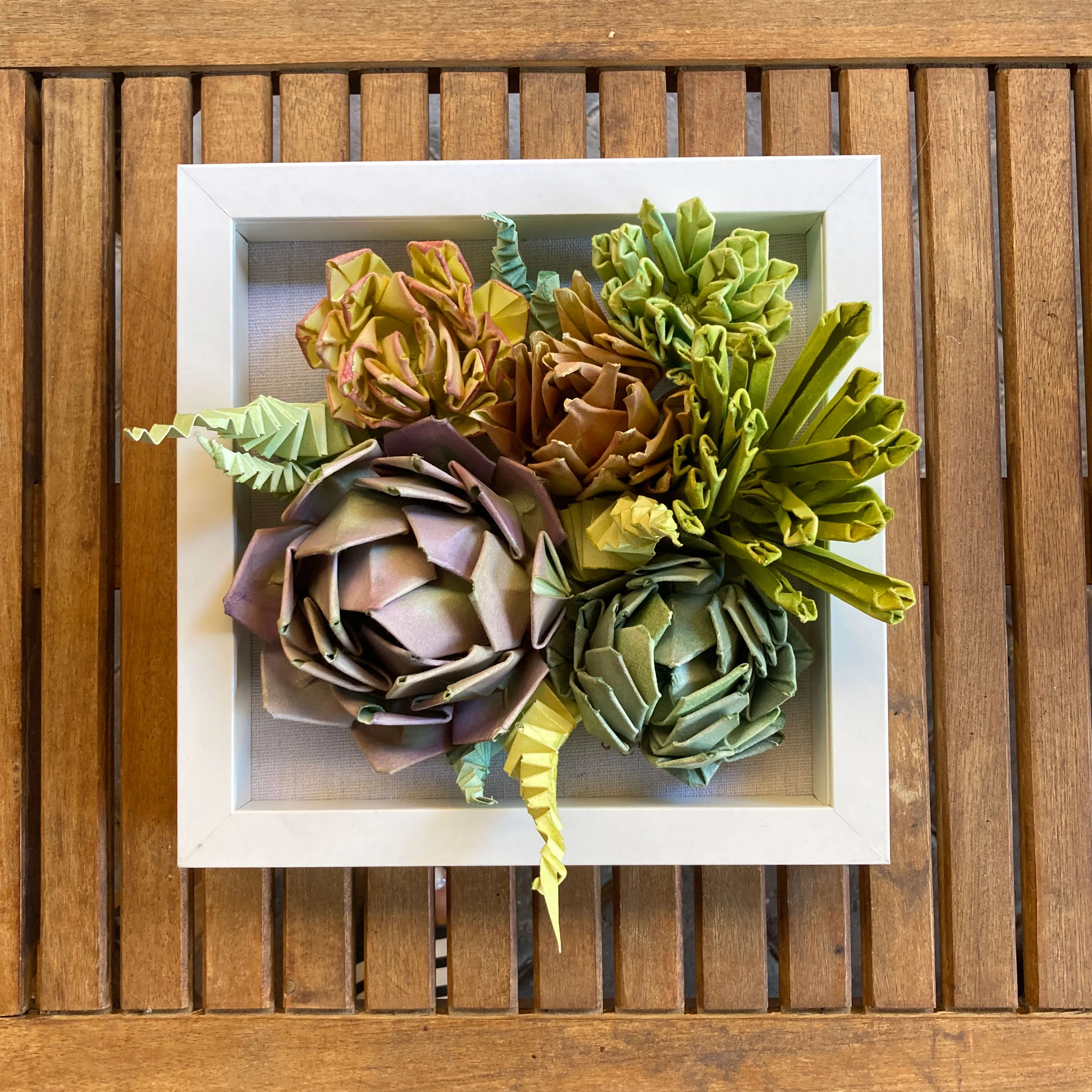 Plants & Flowers 2024 - Anna See - "Succulents 2" - Image 5