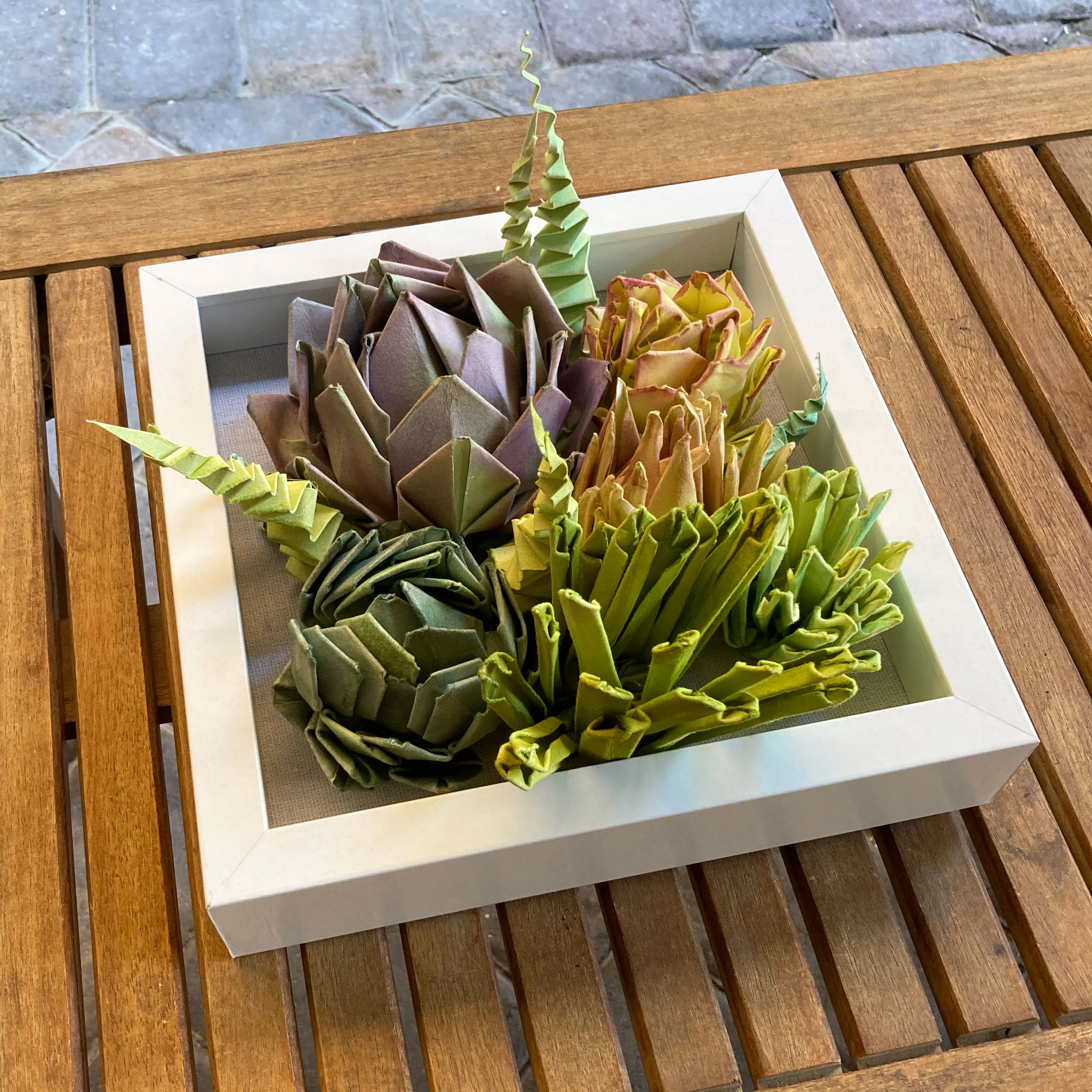 Plants & Flowers 2024 - Anna See - "Succulents 2" - Image 6