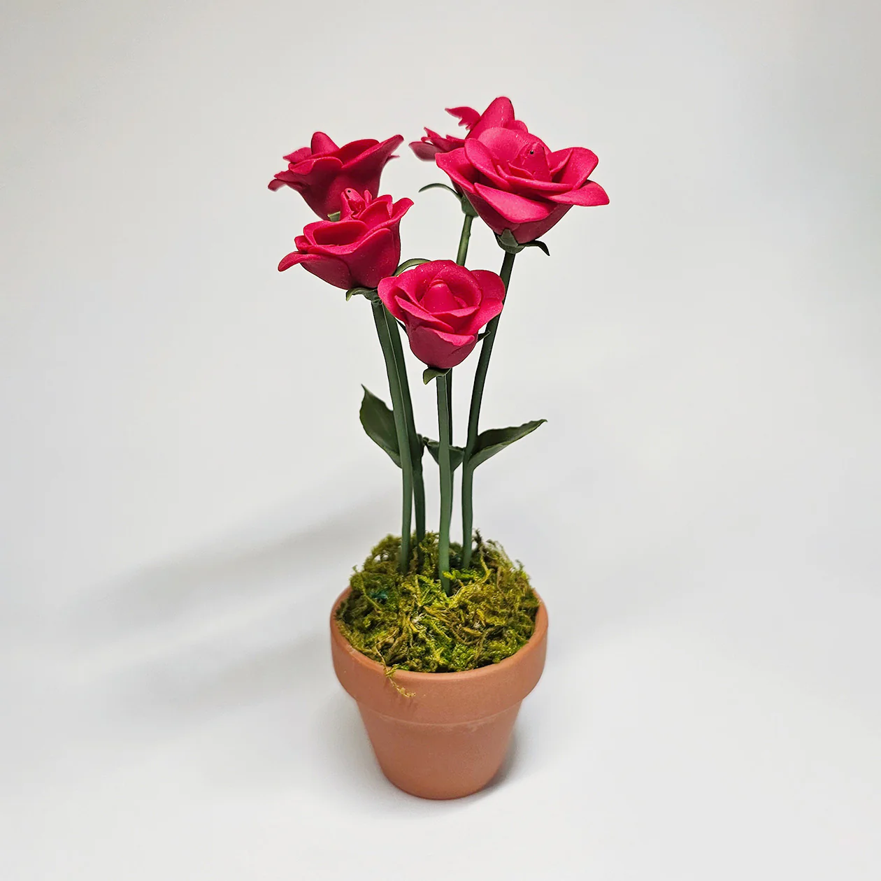 Plants & Flowers 2024 - Sun-Mo Koo - "Roses Are Egglets?"