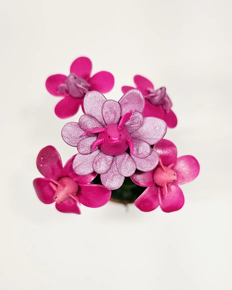 Plants & Flowers 2024 - Sun-Mo Koo - "Sprouting Purple!" - Image 2