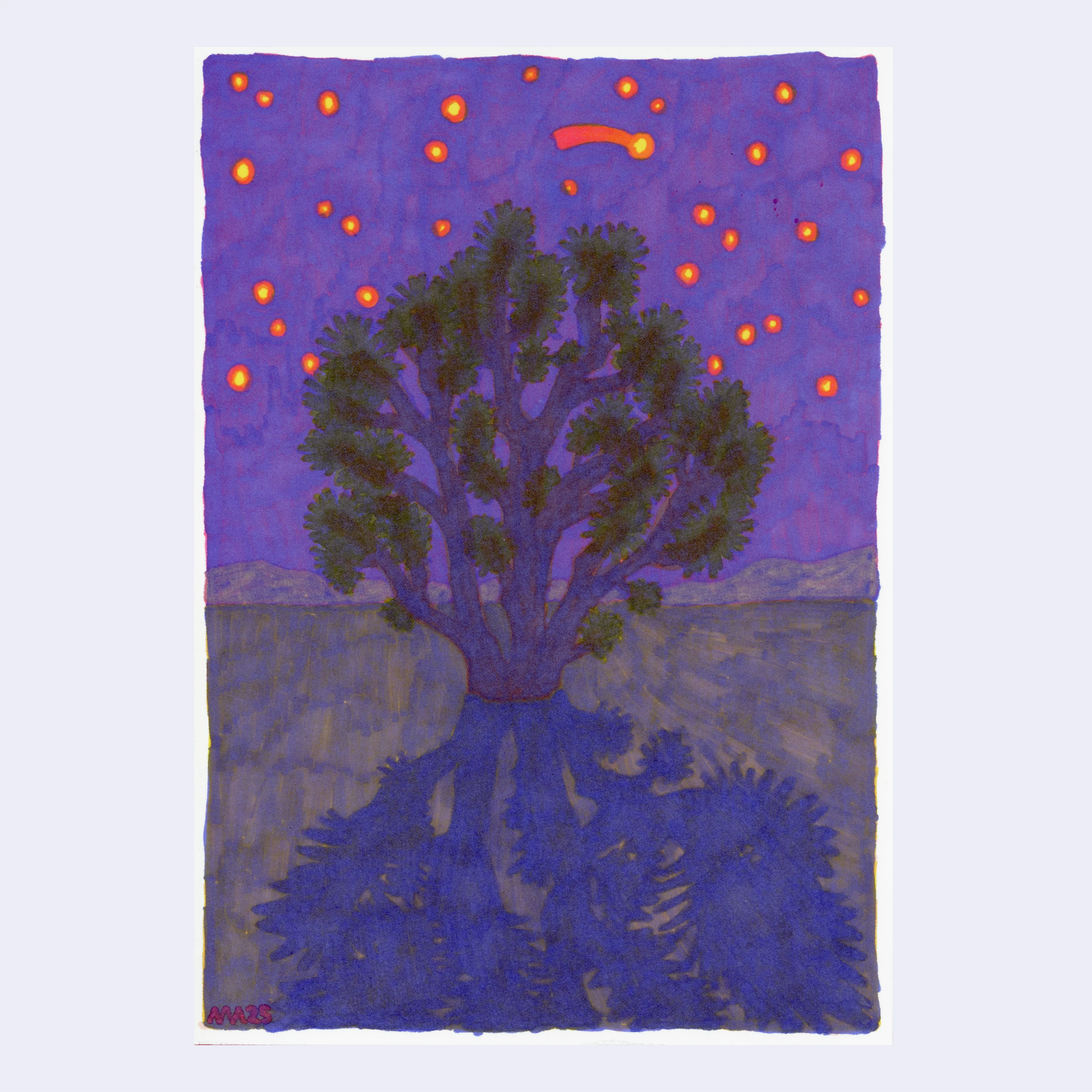 Plants & Flowers 2025 - Anne Figuls - "Ombras"