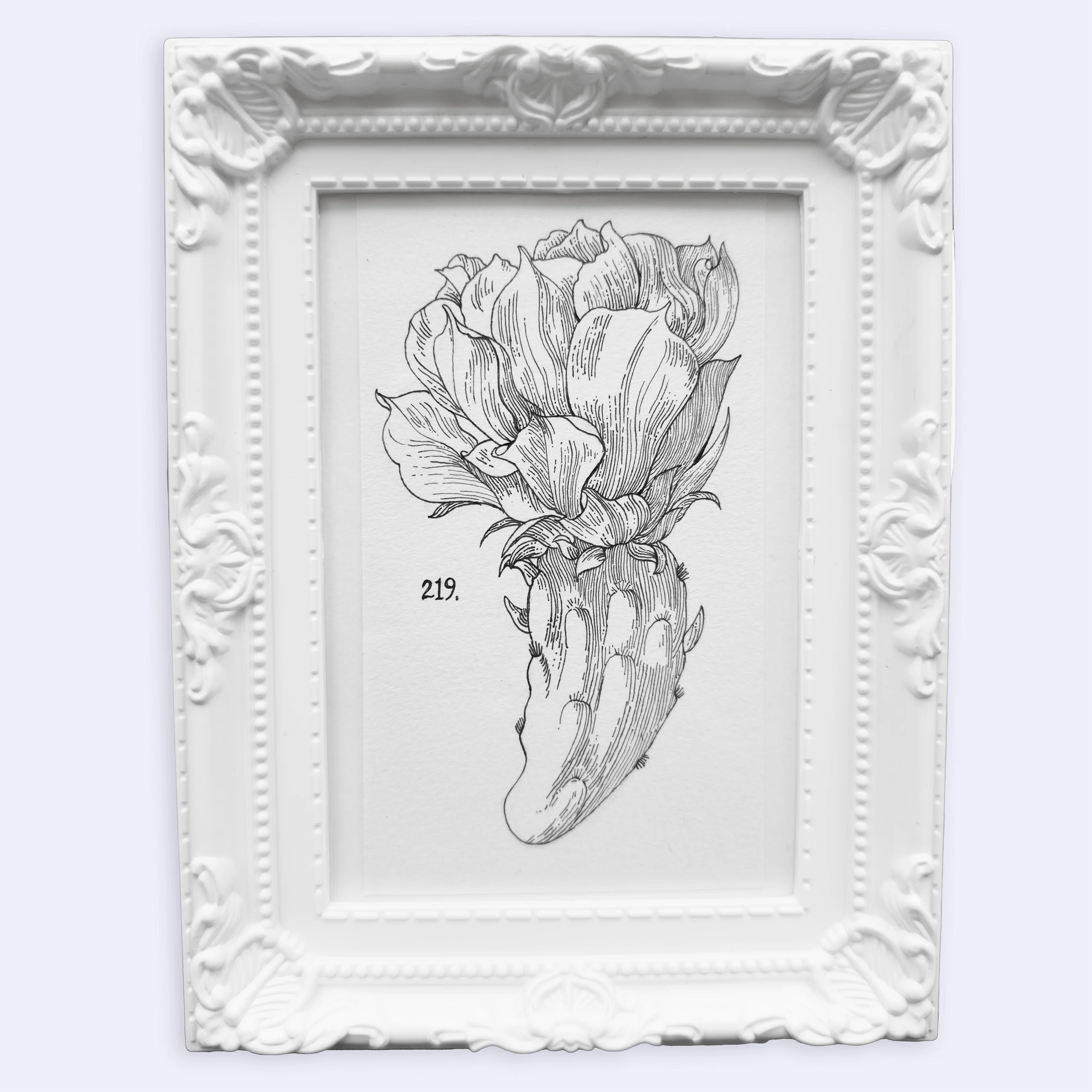 Plants & Flowers 2025 - Scion Illustration - "Cactus Flower"