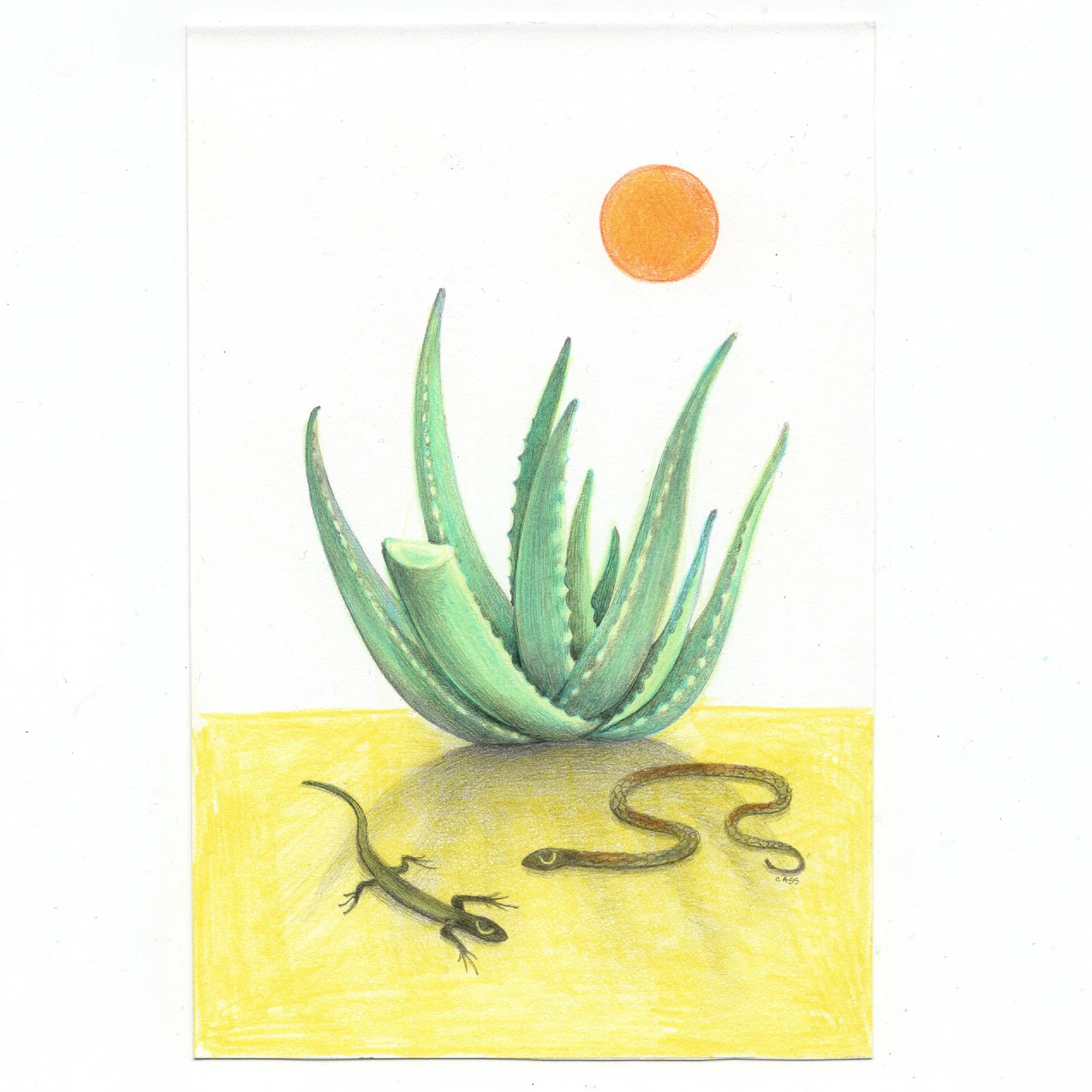Cassia Lupo - "Sunbathers" Art Print - Plants & Flowers Show 2022