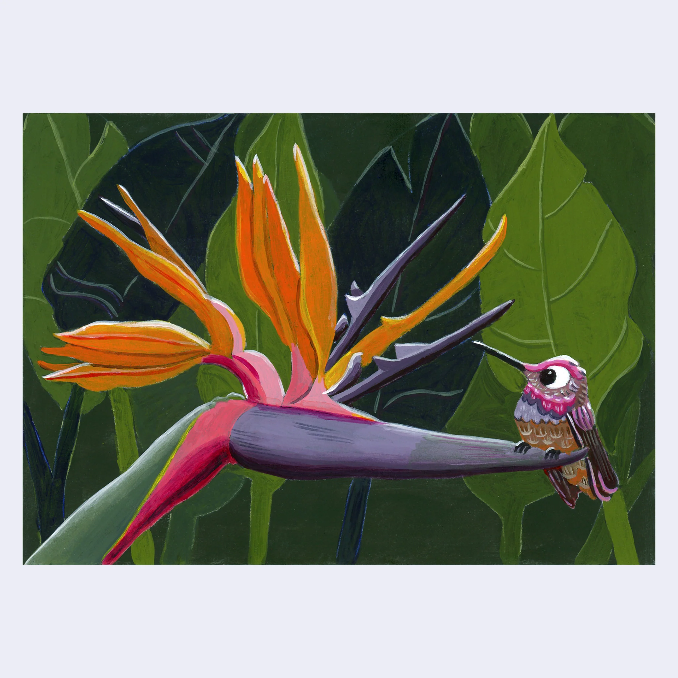 Plants & Flowers Show 2023 - Nikki Longfish - "Bird of Paradise"