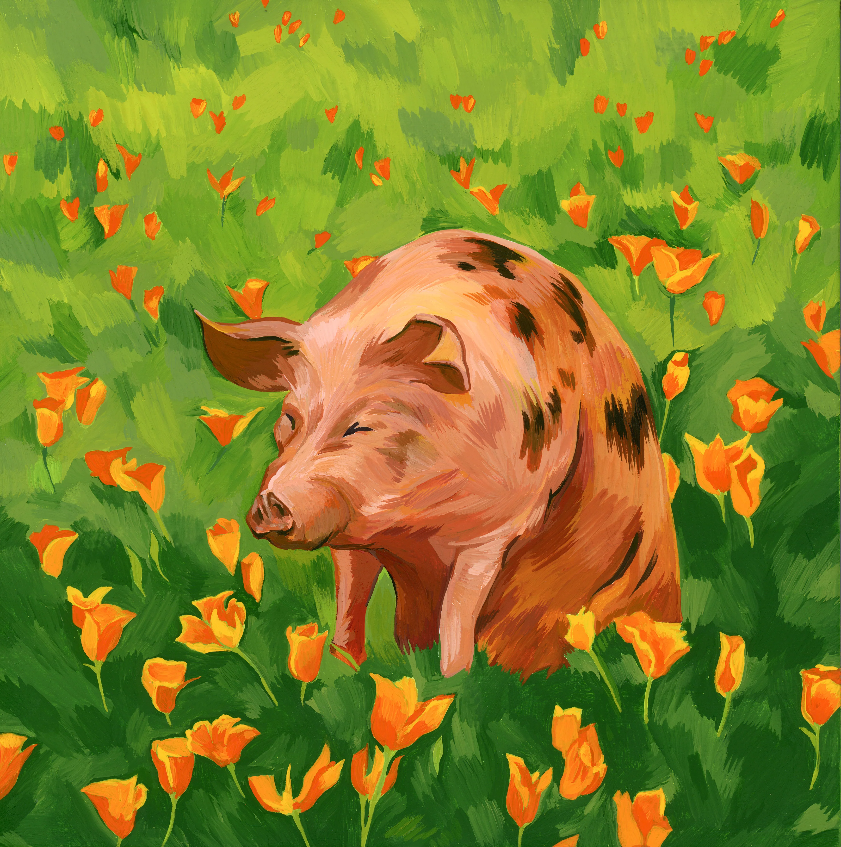 Plants & Flowers Show 2023 - Sarah Pinner - "Pig in a Field"