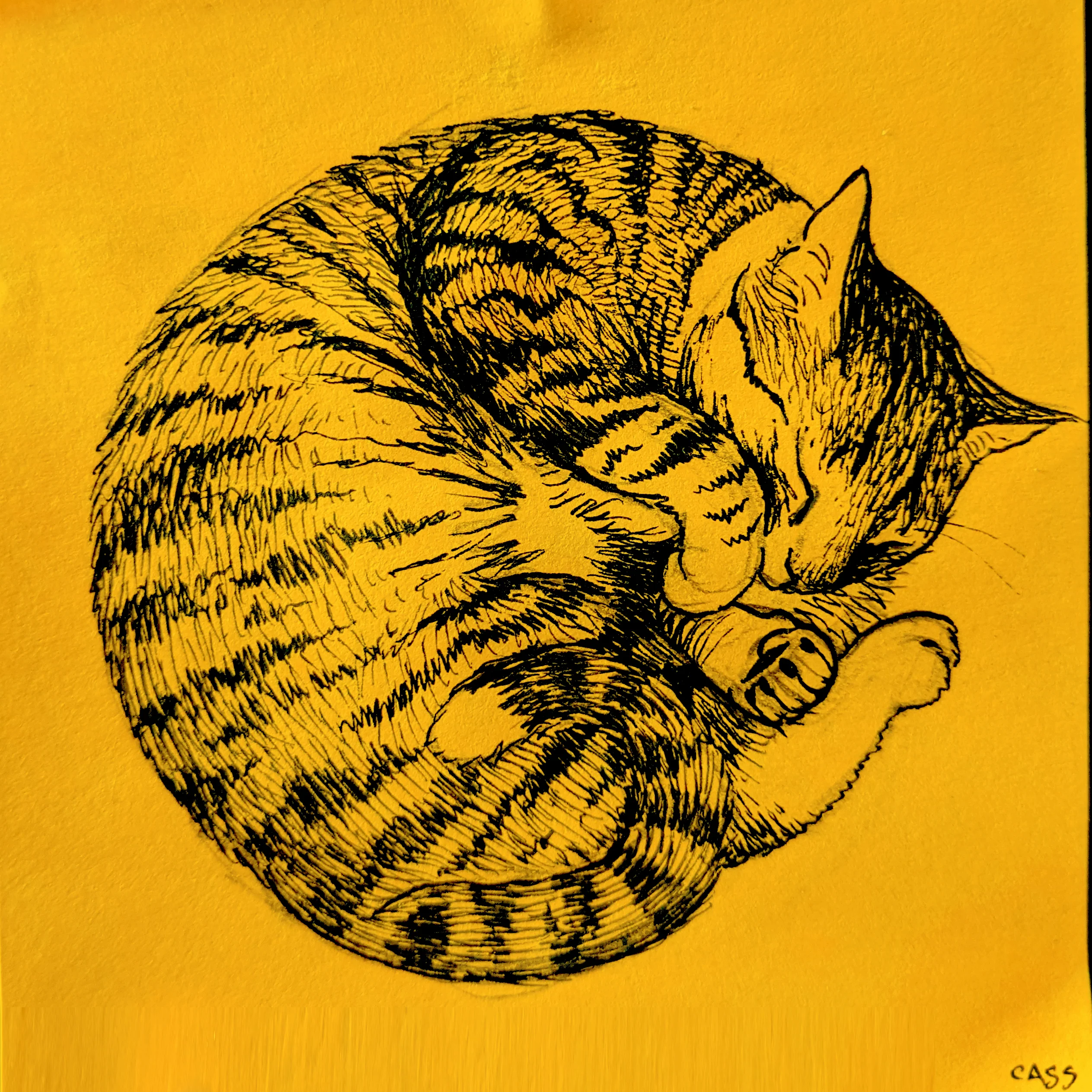 Post-it Show 2020 - Cassia Lupo - "Blue Cat" - Image 2