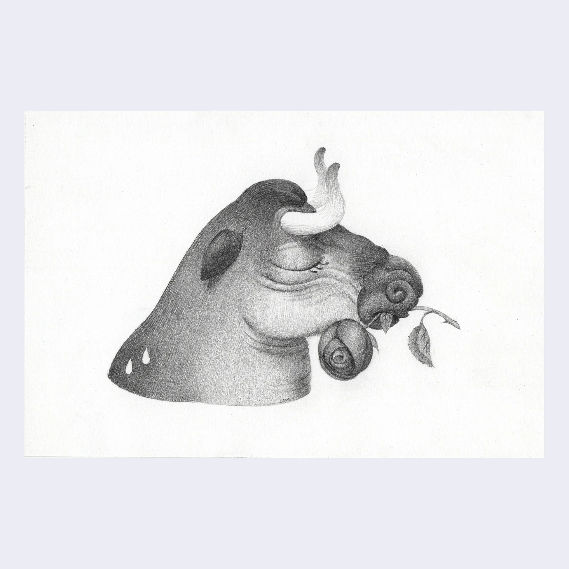 Rakugaki 4 - Cassia Lupo - "Peace Bull"