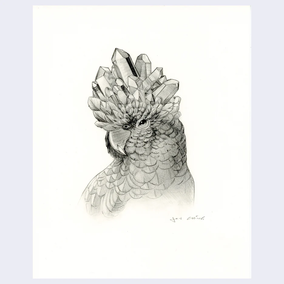 Rakugaki 5 (2023) - Jon Ching - "Aquaria Sketch"