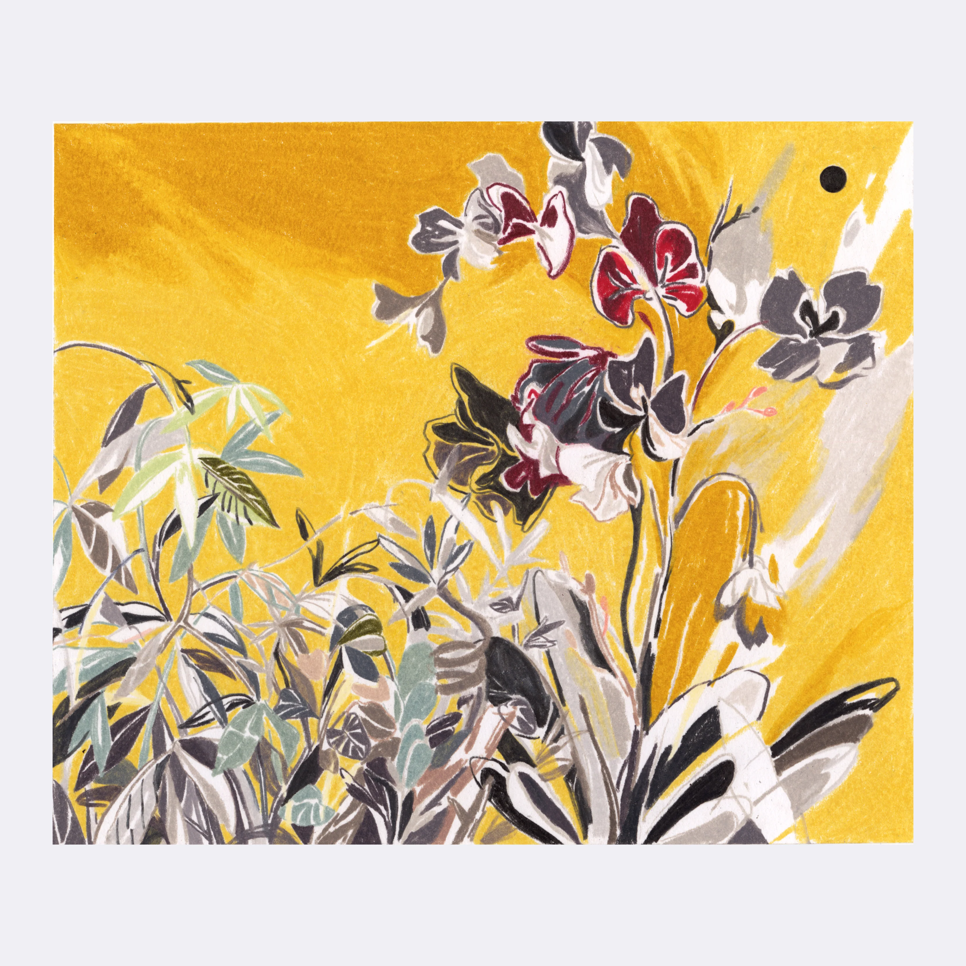 Rakugaki 5 (2023) - Sally Deng - "FengShui Plants"