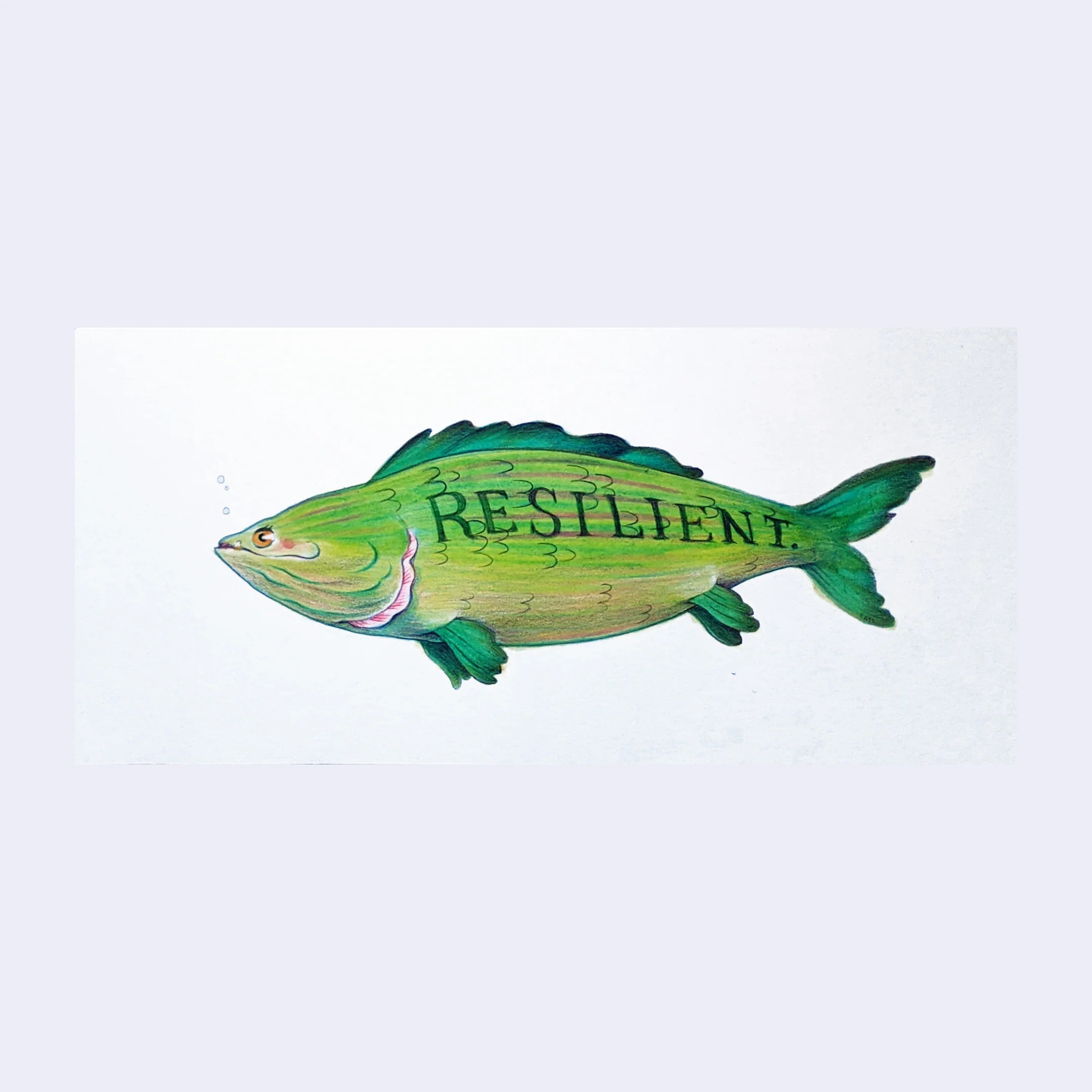 Rakugaki 6 (2024) - Cassia Lupo - "Resilient Fish"