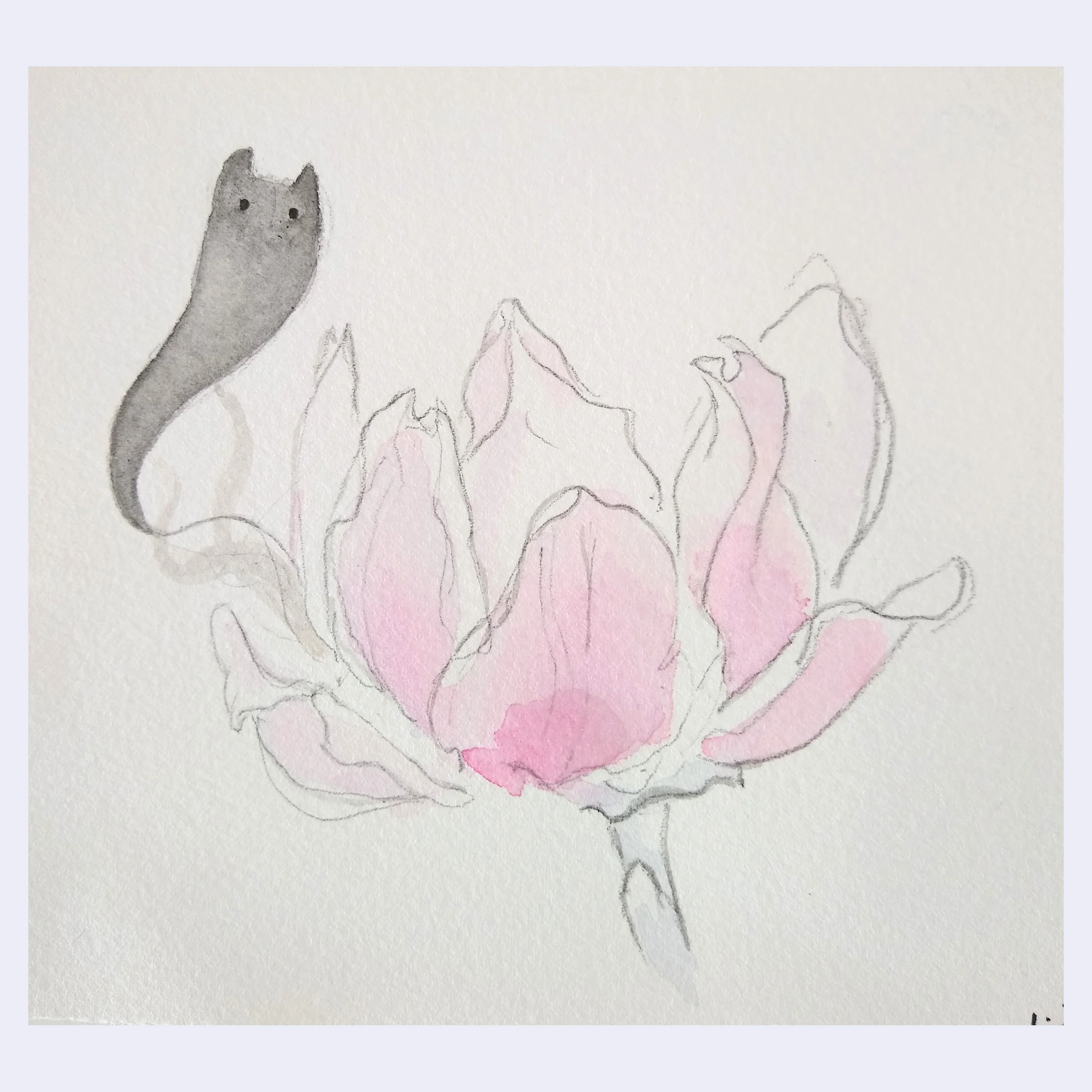 Rakugaki 6 (2024) - Jenn Lima - "Ann Magnolia"