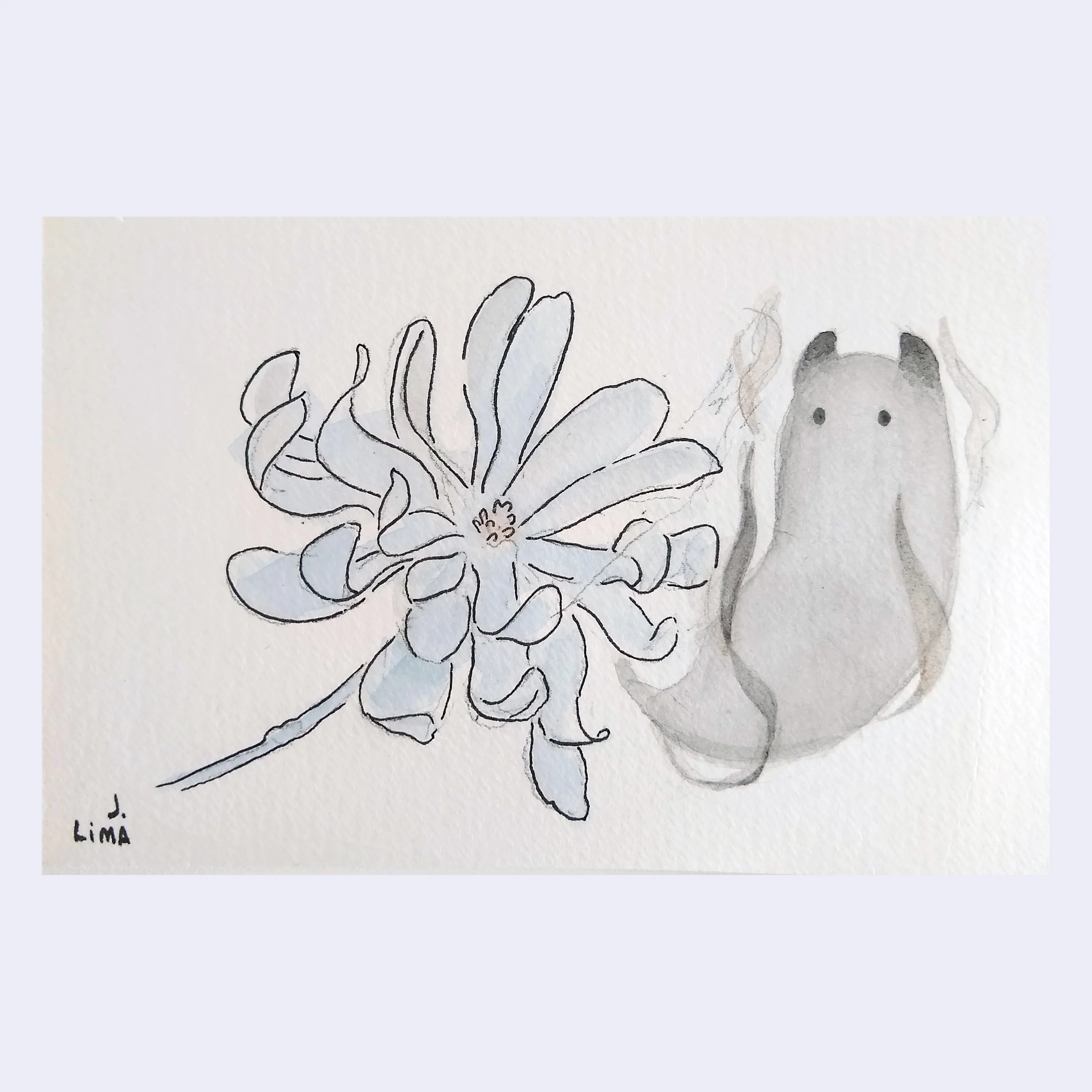 Rakugaki 6 (2024) - Jenn Lima - "Royal Star Magnolia #2"