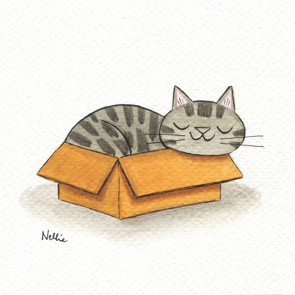 Rakugaki 6 (2024) - Nellie Le - "Snooze Box"