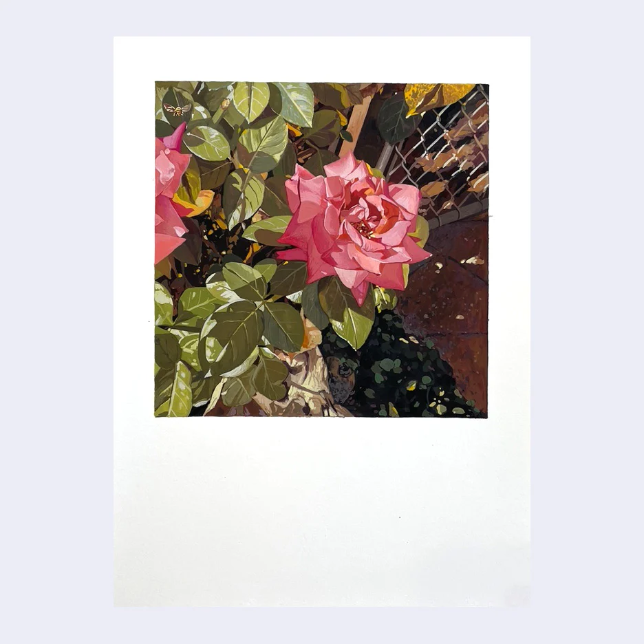 Rakugaki 6 (2024) - Ouizi - "Sidewalk Rose"