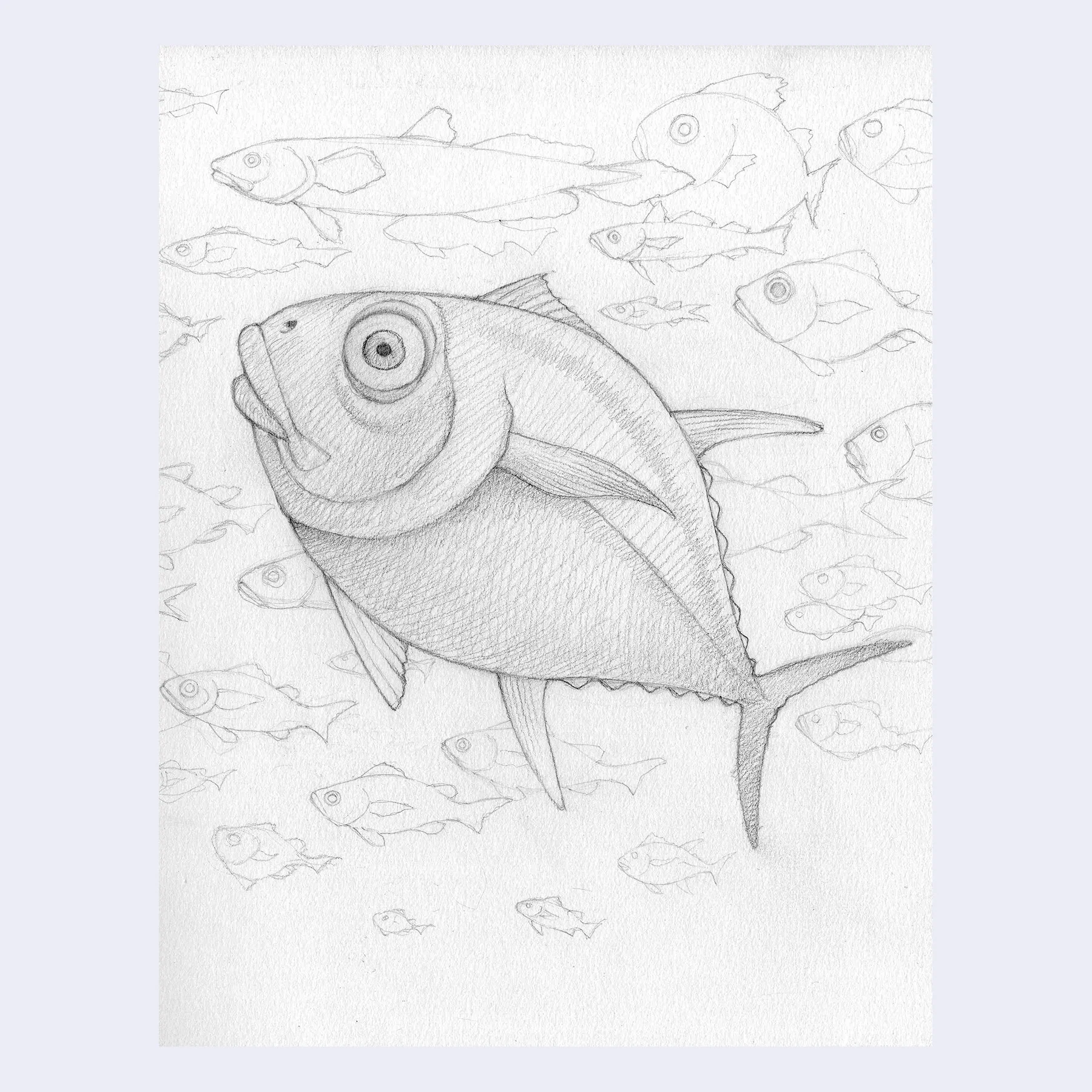 Rakugaki 6 (2024) - Travis Louie - "Tuna D"