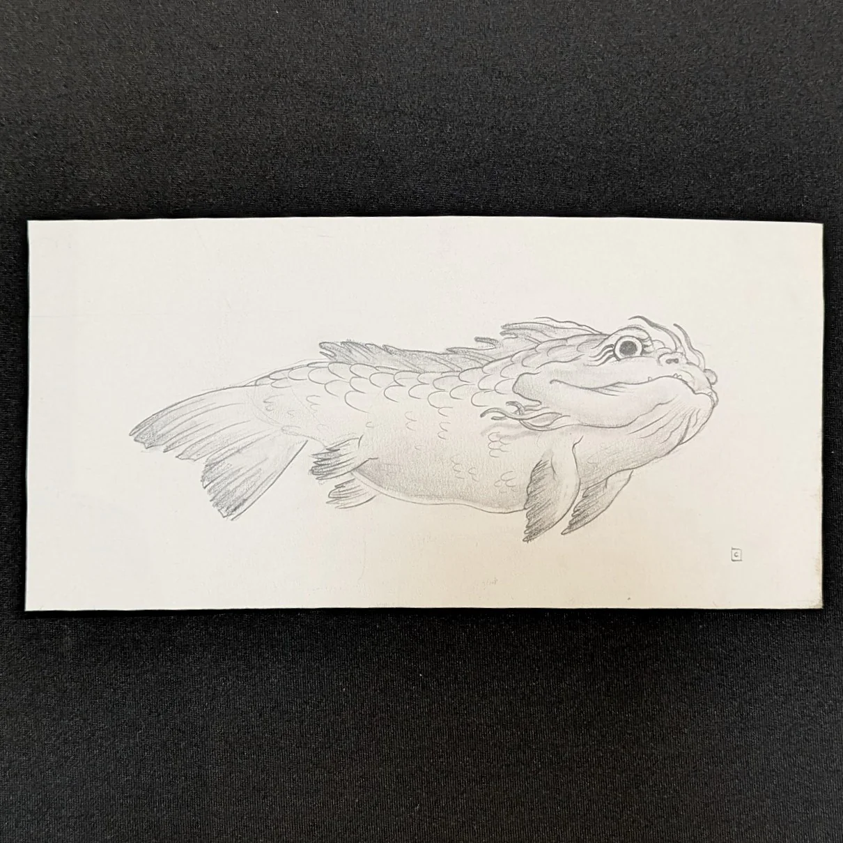 Rakugaki 7 (2025) - Cassia Lupo - "Hokusai Ningyo Study"