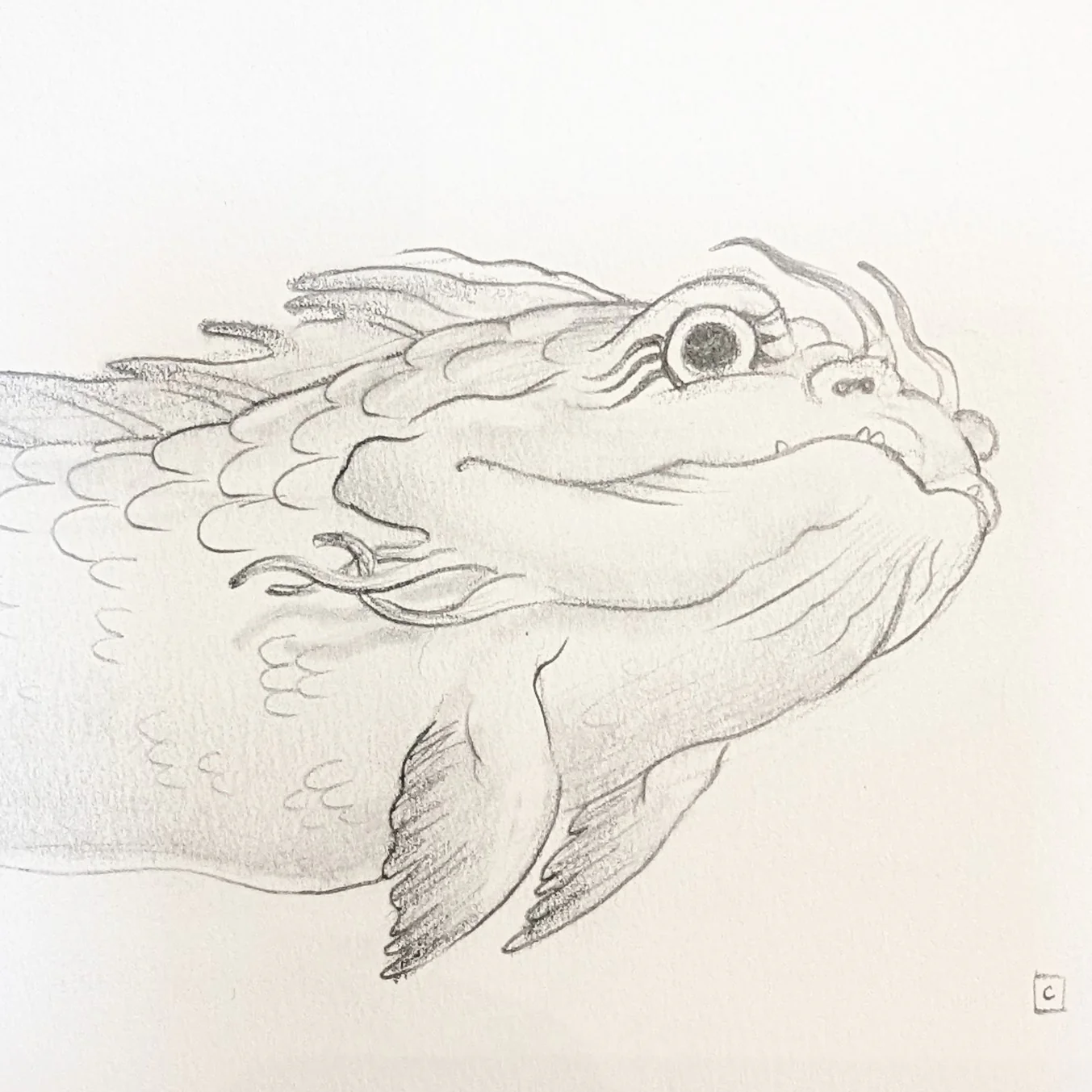 Rakugaki 7 (2025) - Cassia Lupo - "Hokusai Ningyo Study" - Image 2