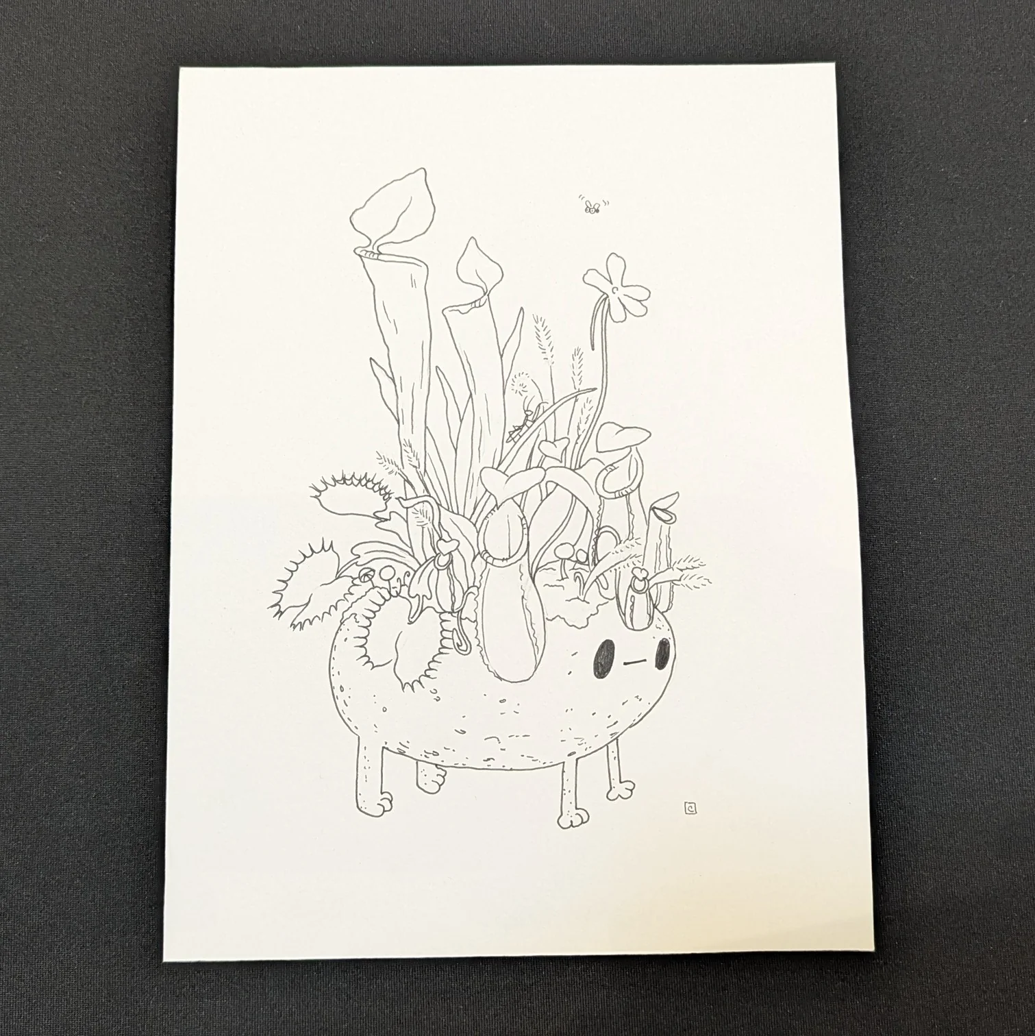Rakugaki 7 (2025) - Cassia Lupo - "Weird=Better"