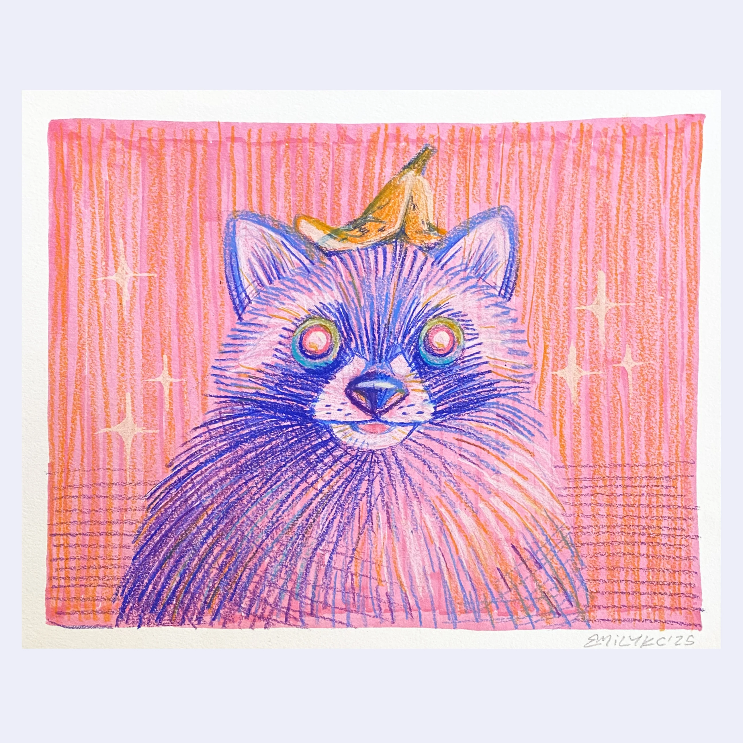 Rakugaki 7 (2025) - Emily Chen - "Raccoon"