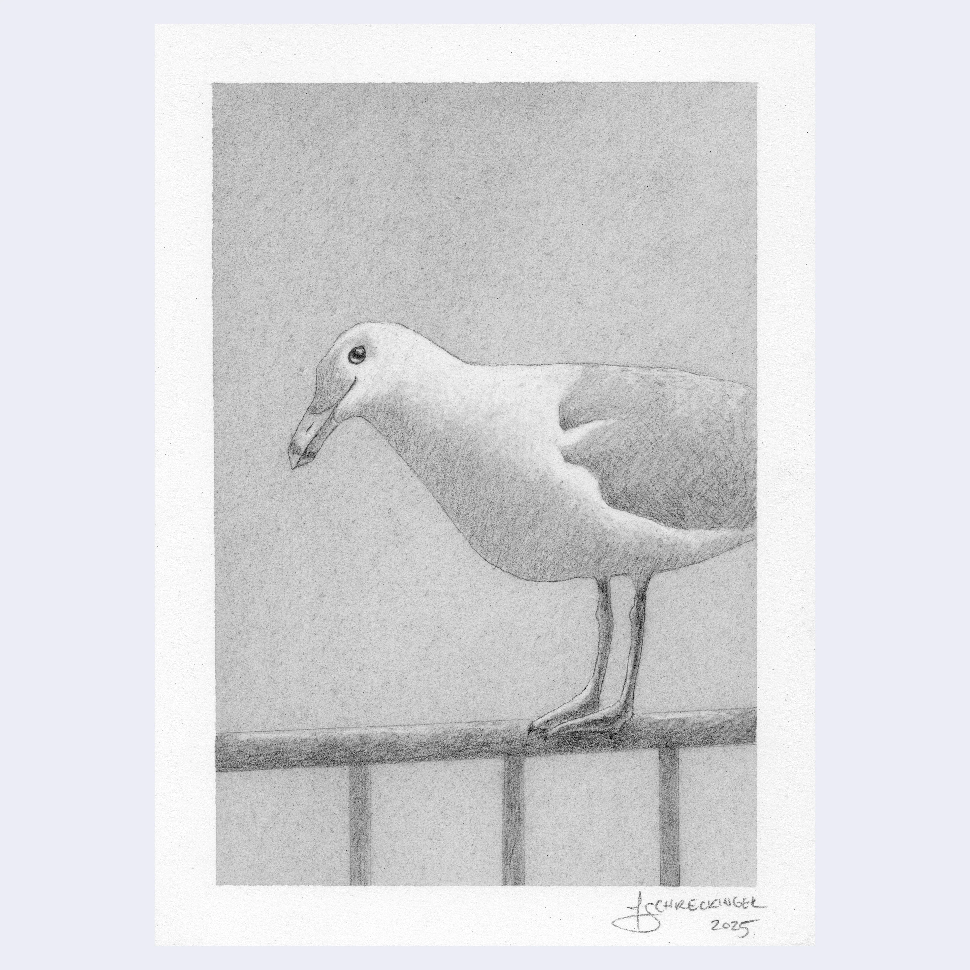 Rakugaki 7 (2025) - Juliet Schreckinger - "Seagull Study 4"