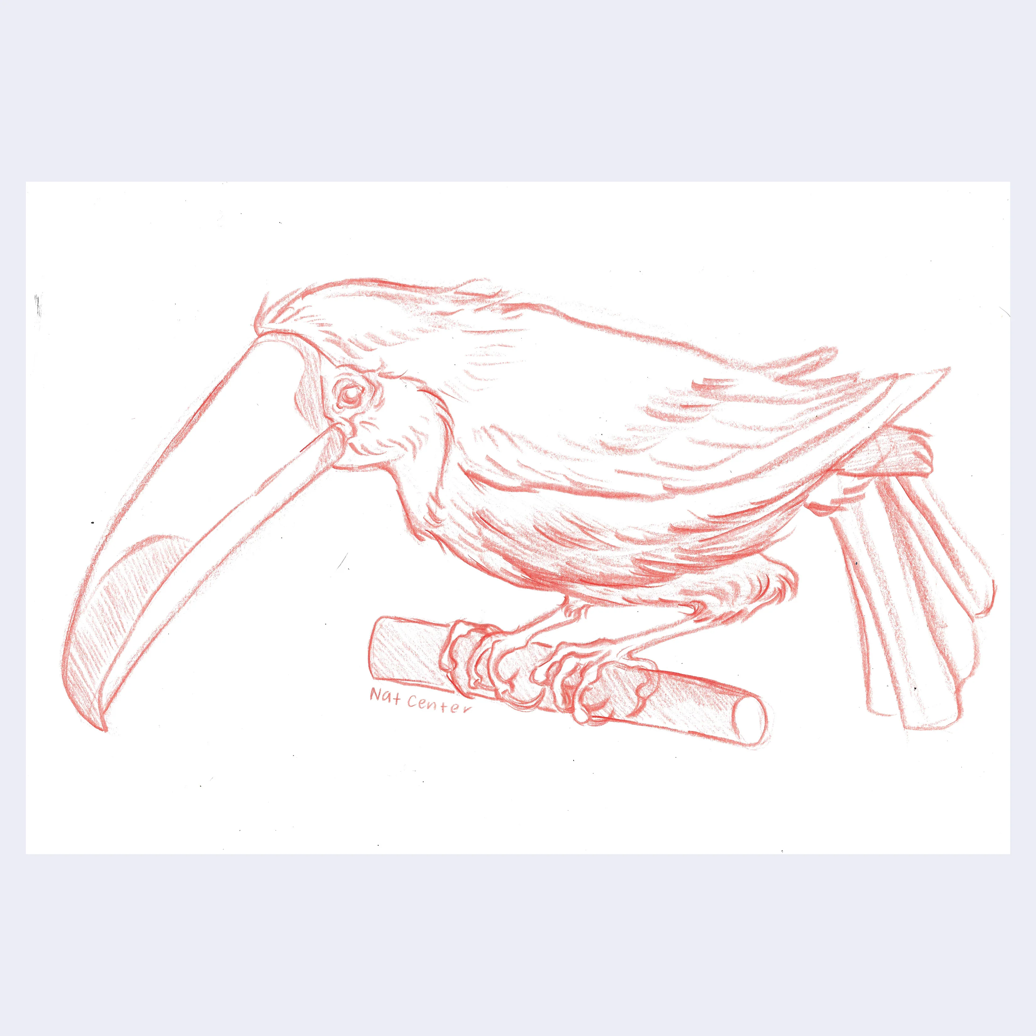 Rakugaki 7 (2025) - Nat Center - "Toucan"