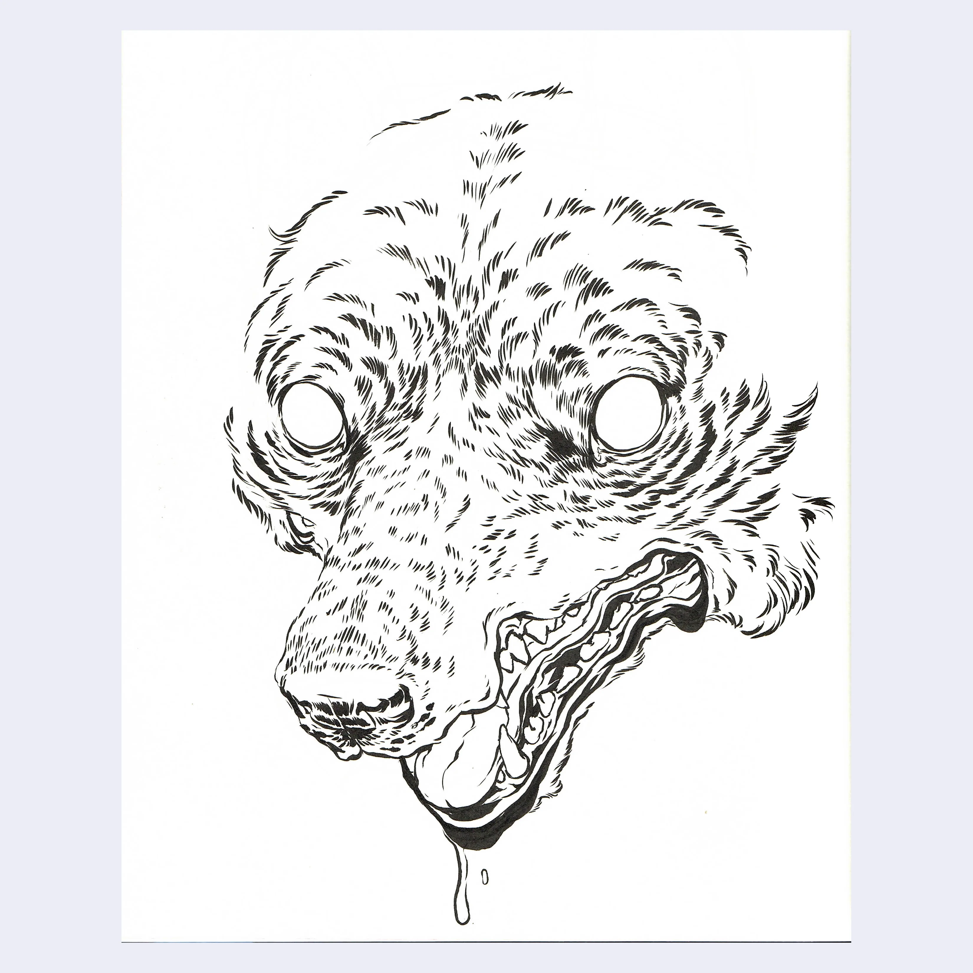 Rakugaki 8 (2026) - Caitlin Canchola - "Earless Coyote"