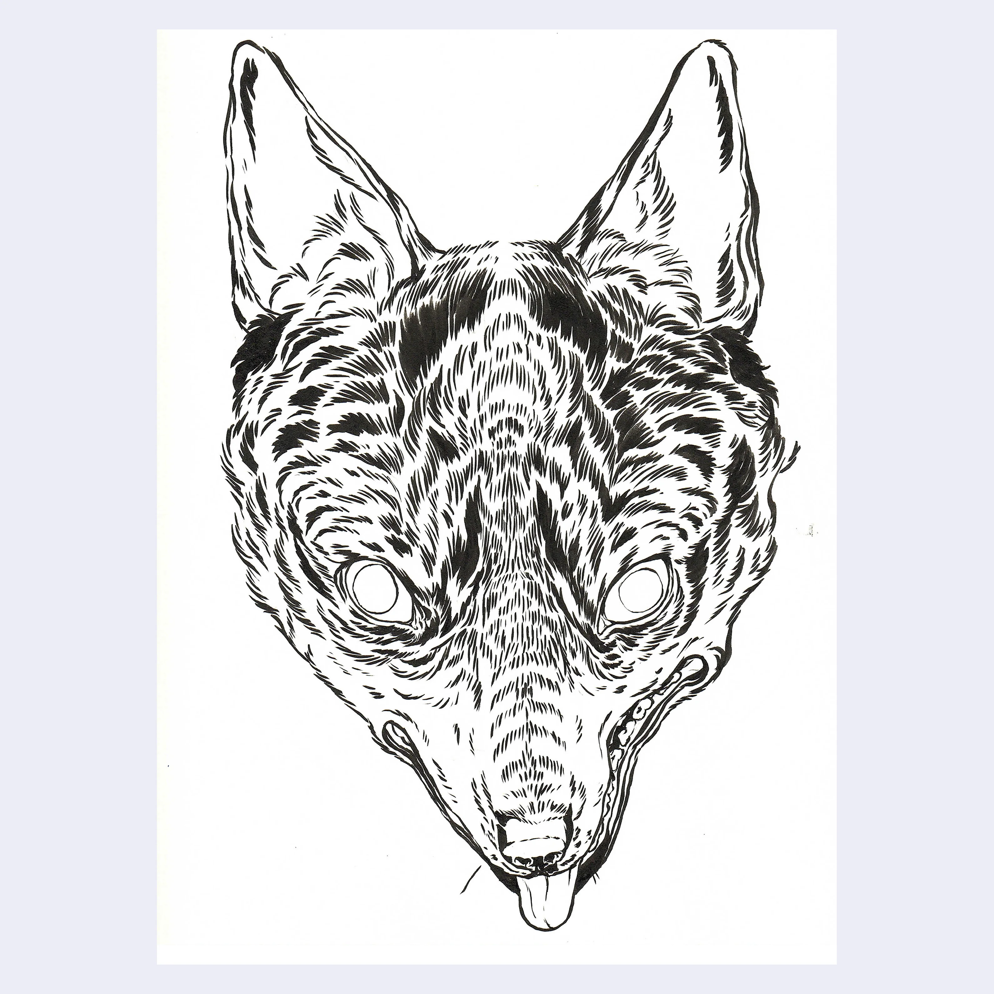 Rakugaki 8 (2026) - Caitlin Canchola - "Grey Fox"