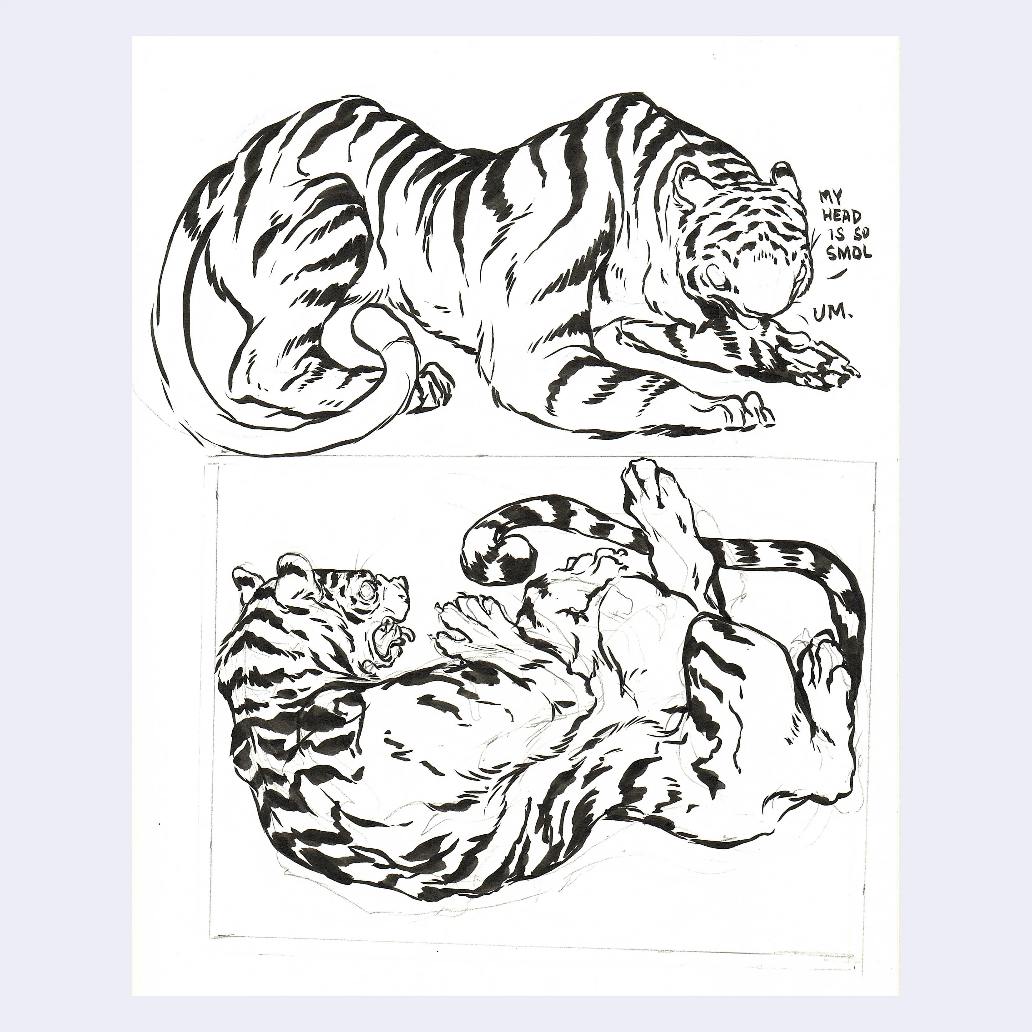 Rakugaki 8 (2026) - Caitlin Canchola - "Tiger Smol Head"