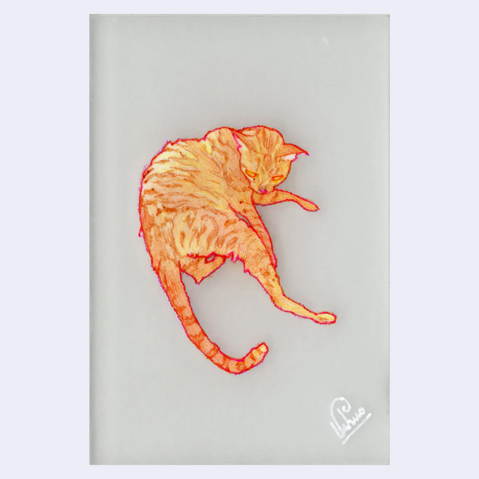 Rakugaki 8 (2026) - Edwin Ushiro - "Garfield (Orange Cat)"
