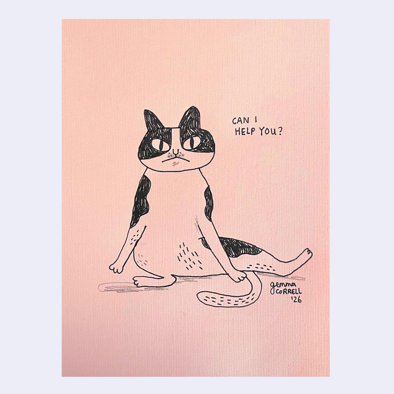 Rakugaki 8 (2026) - Gemma Correll - "Can I Help You?"