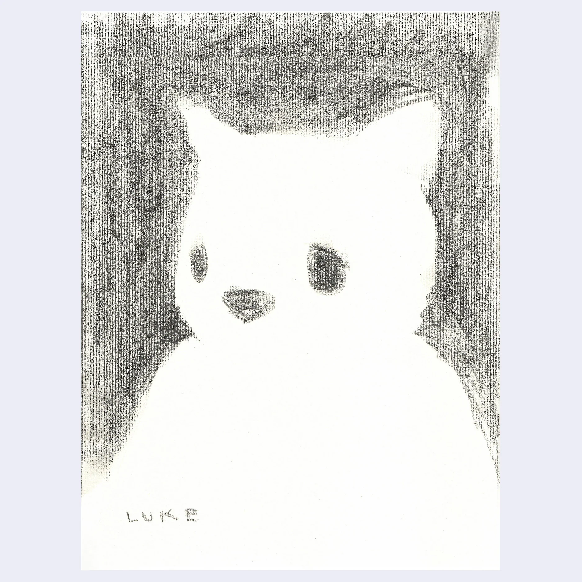 Rakugaki 8 (2026) - Luke Chueh - "Negative Space"