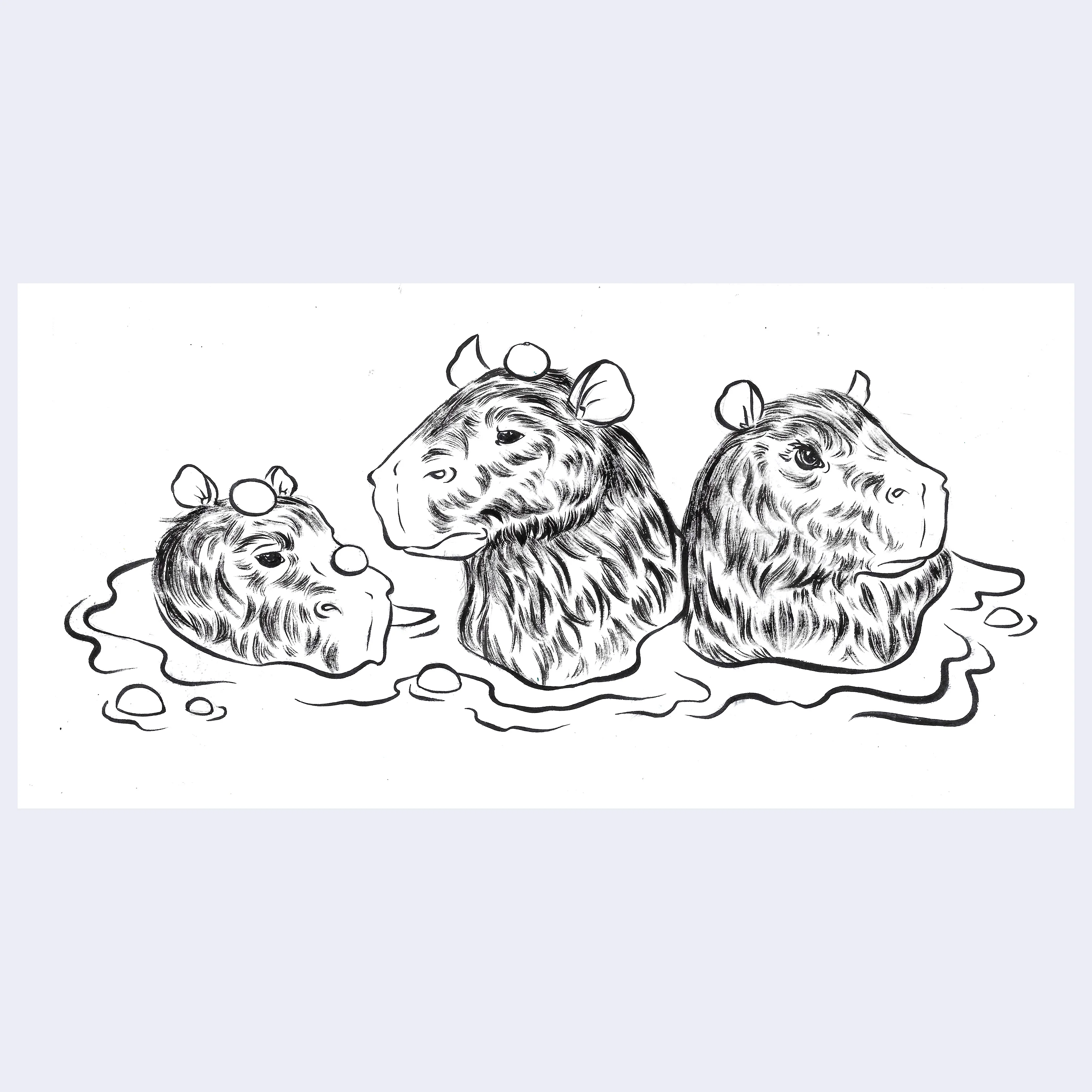 Rakugaki 8 (2026) - Nat Center - "Bathing Capybaras"