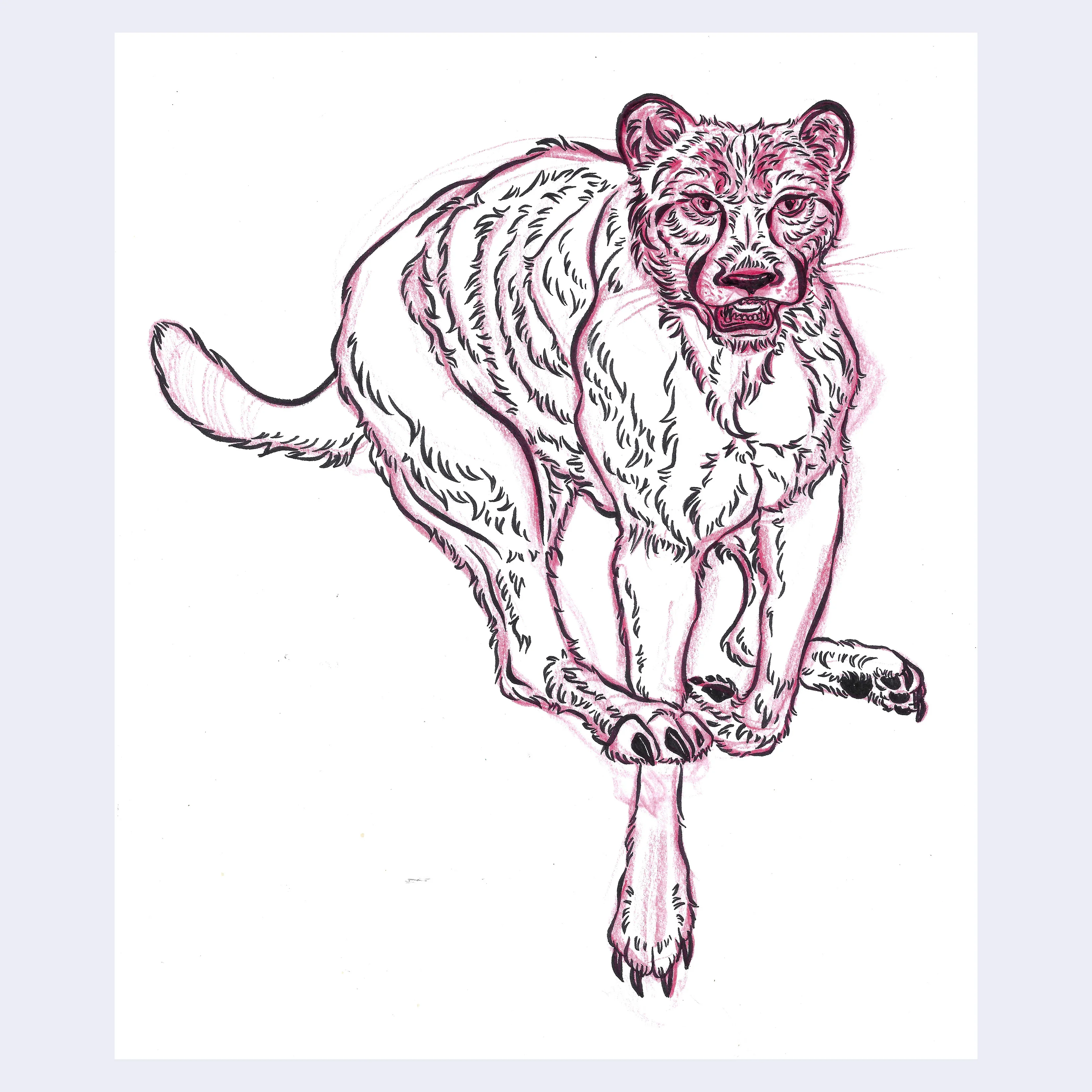 Rakugaki 8 (2026) - Nat Center - "Cheetah"