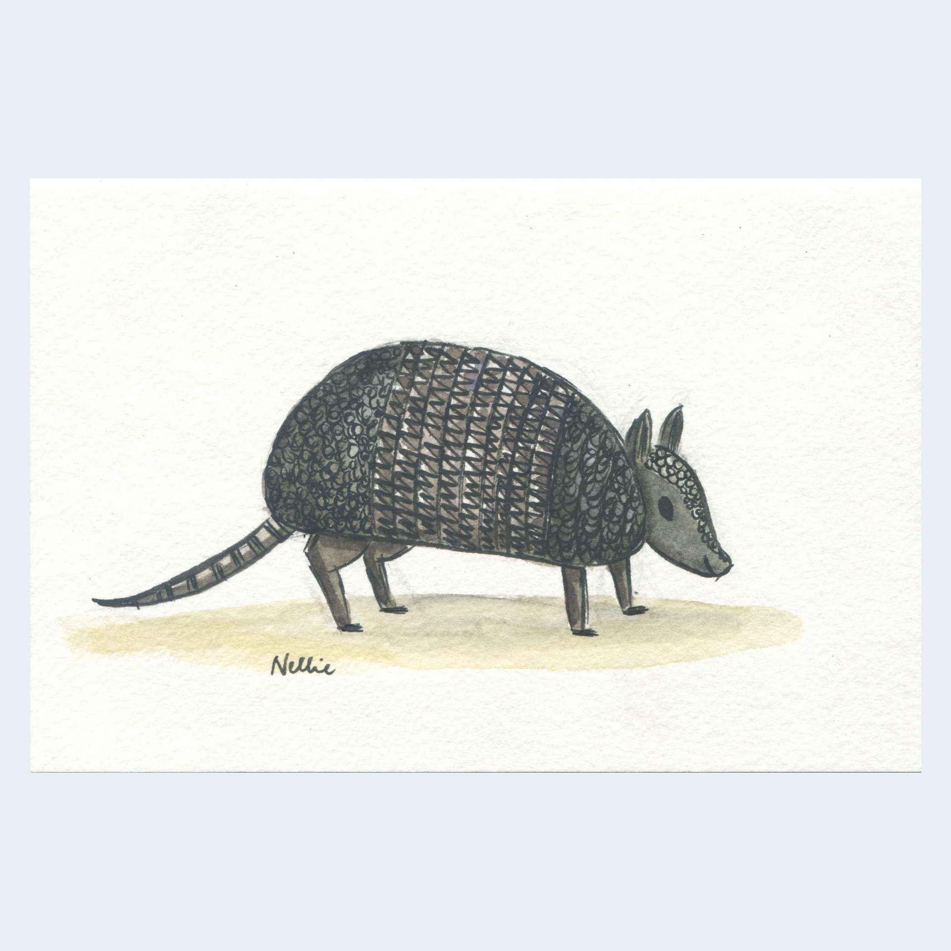 Rakugaki 8 (2026) - Nellie Le - "Armadillo"