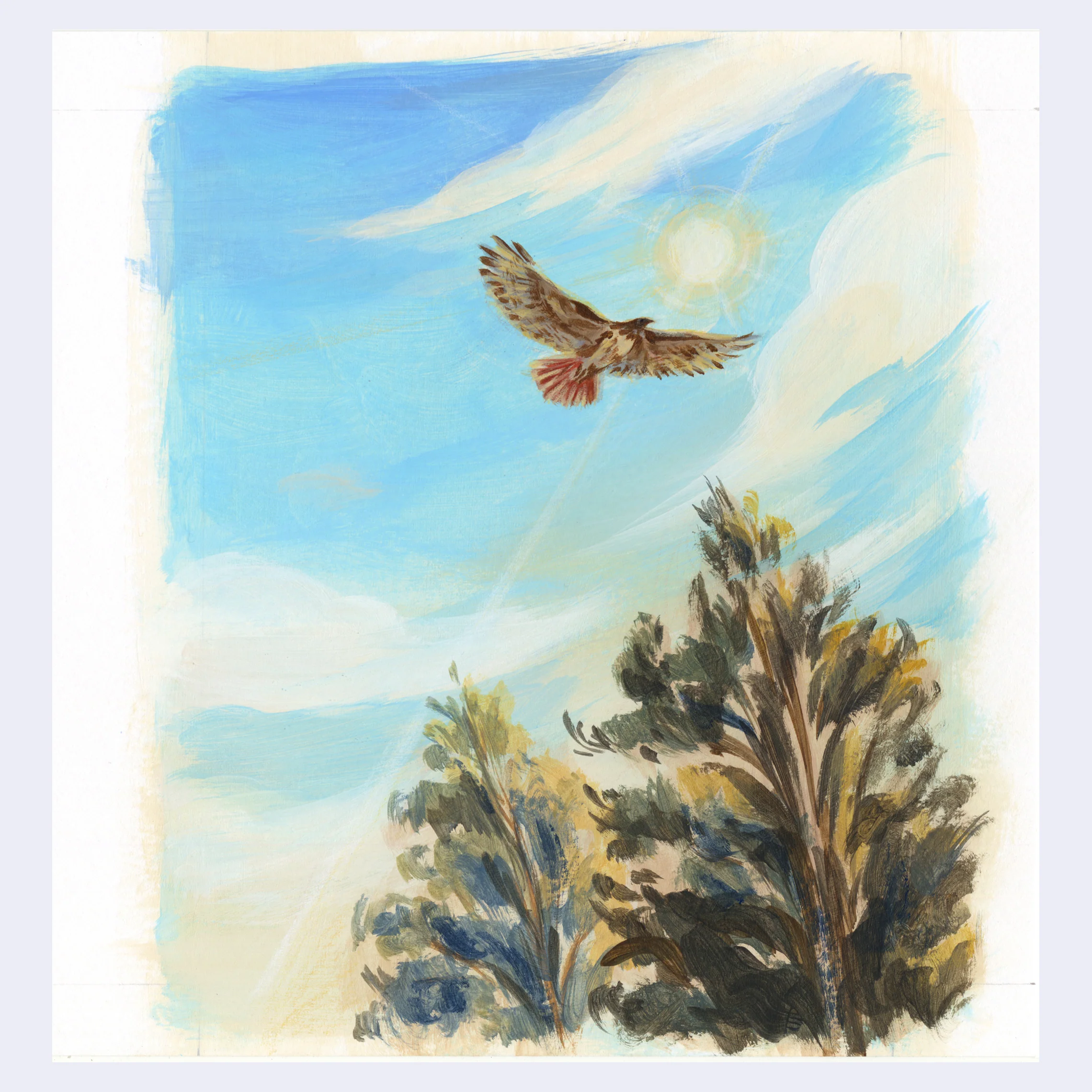 Rakugaki 8 (2026) - Sally Deng - "Red Tailed Hawk"