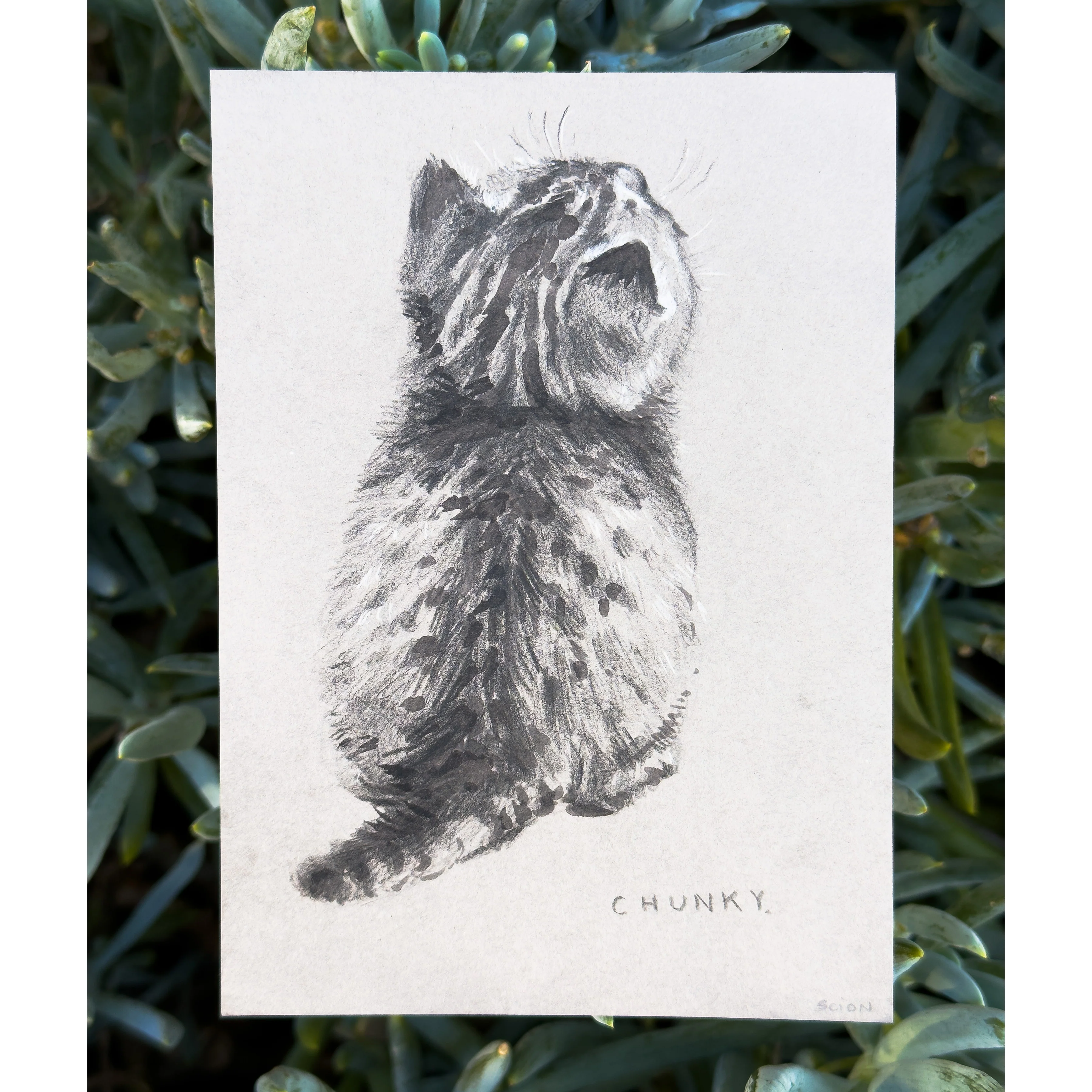 Rakugaki 8 (2026) - Scion Illustration - "Chunky"