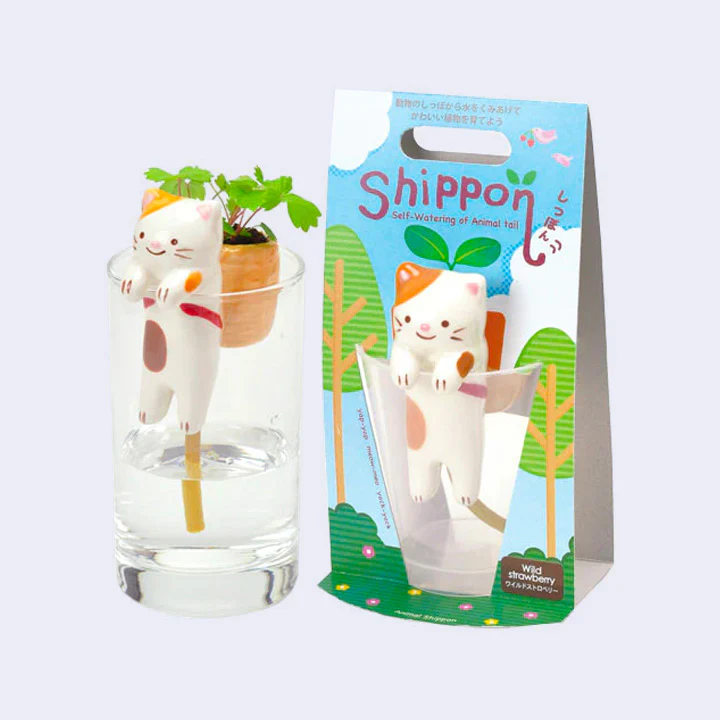 Shippon Self-Watering Mini Planter (Cat x Wild Strawberry) - Image 2