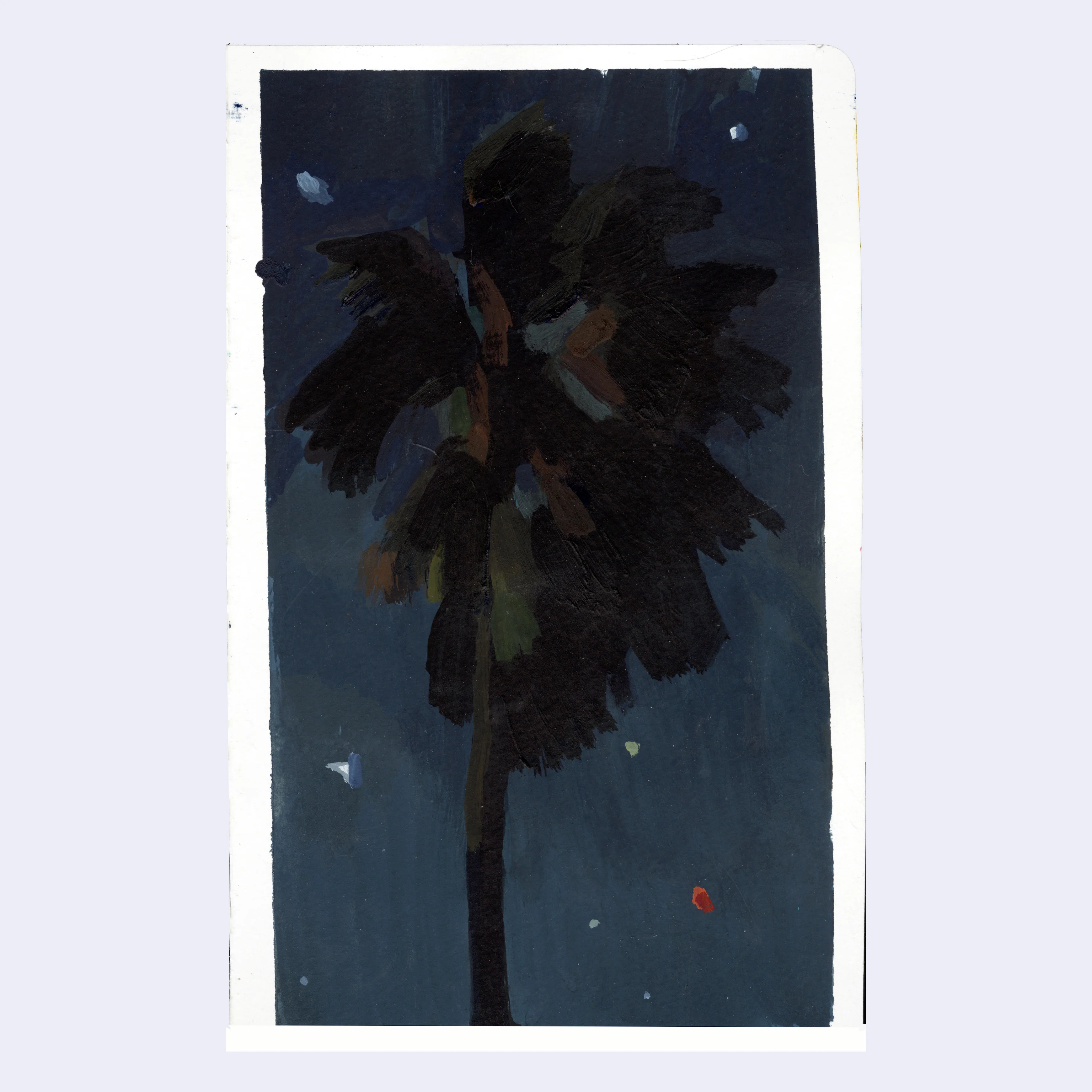 Sitting Outside 2 - Kellan Jett - #09 - "Lone Palm"