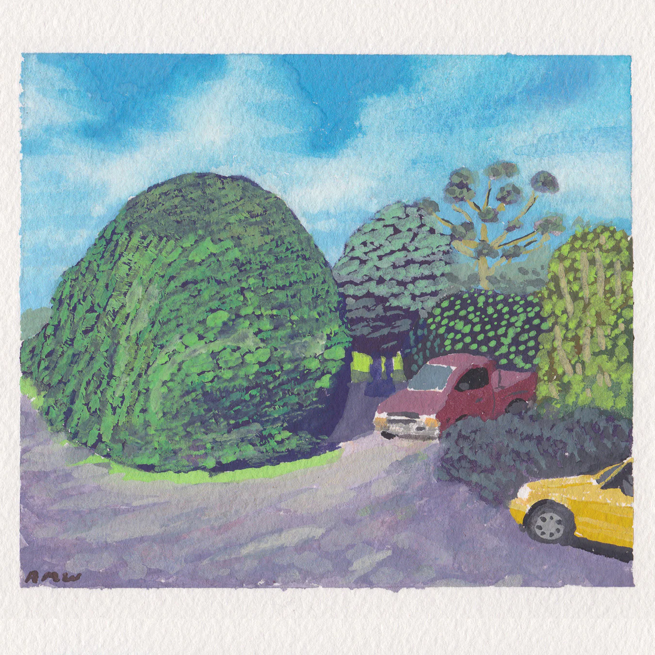 Sitting Outside 2 - Rob Moss Wilson - #06 - "Bolinas Hedges"