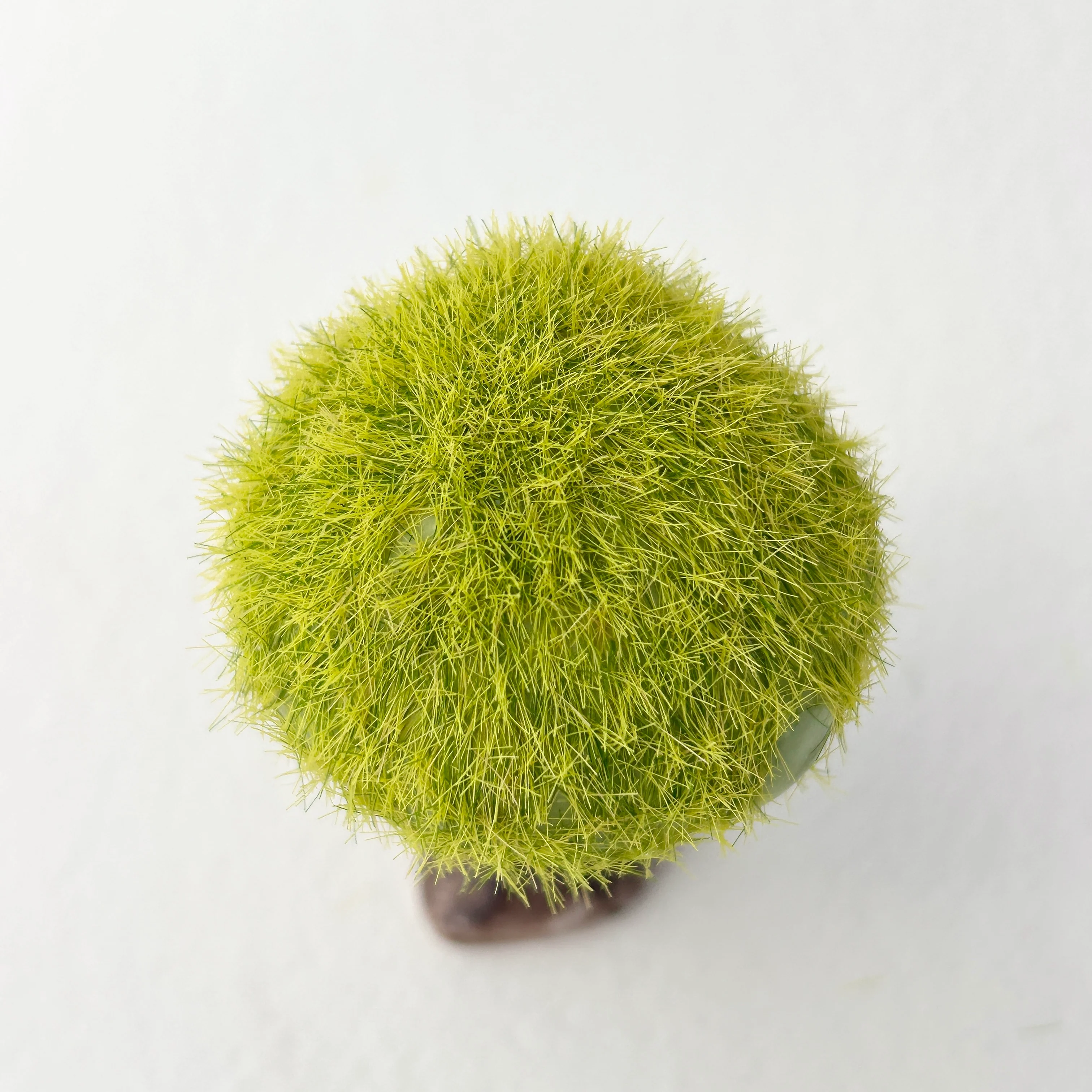Small World (2026) - #18 - Cynara Akemi Mori - "Flocked Tree" - Image 4