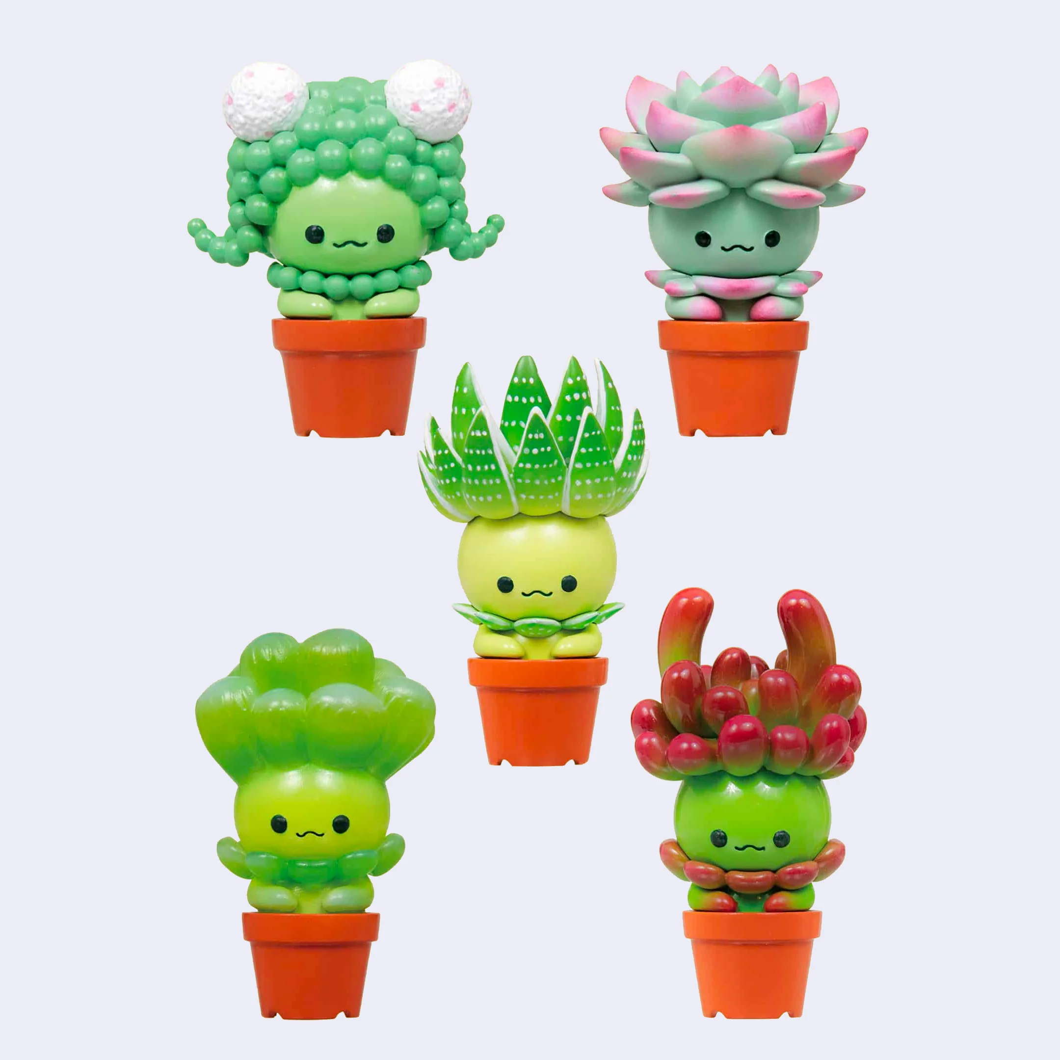 Succulent Friends Blind Box