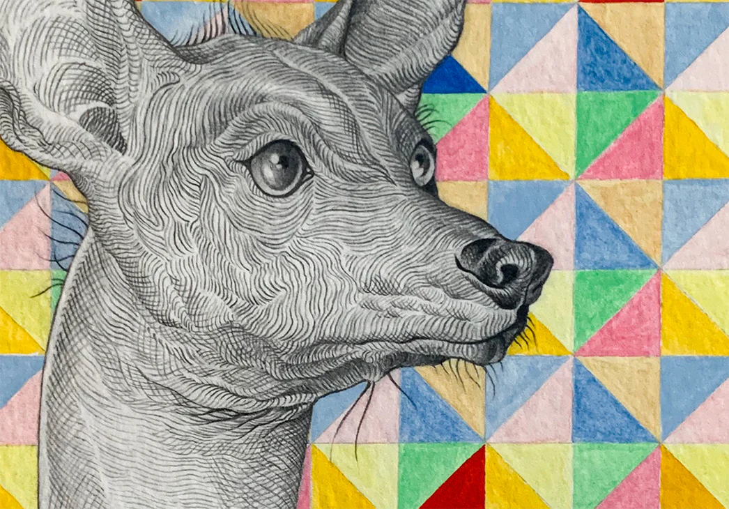 The Doggo Show - Felix Galvan - "Xoloescuintli" - Image 2