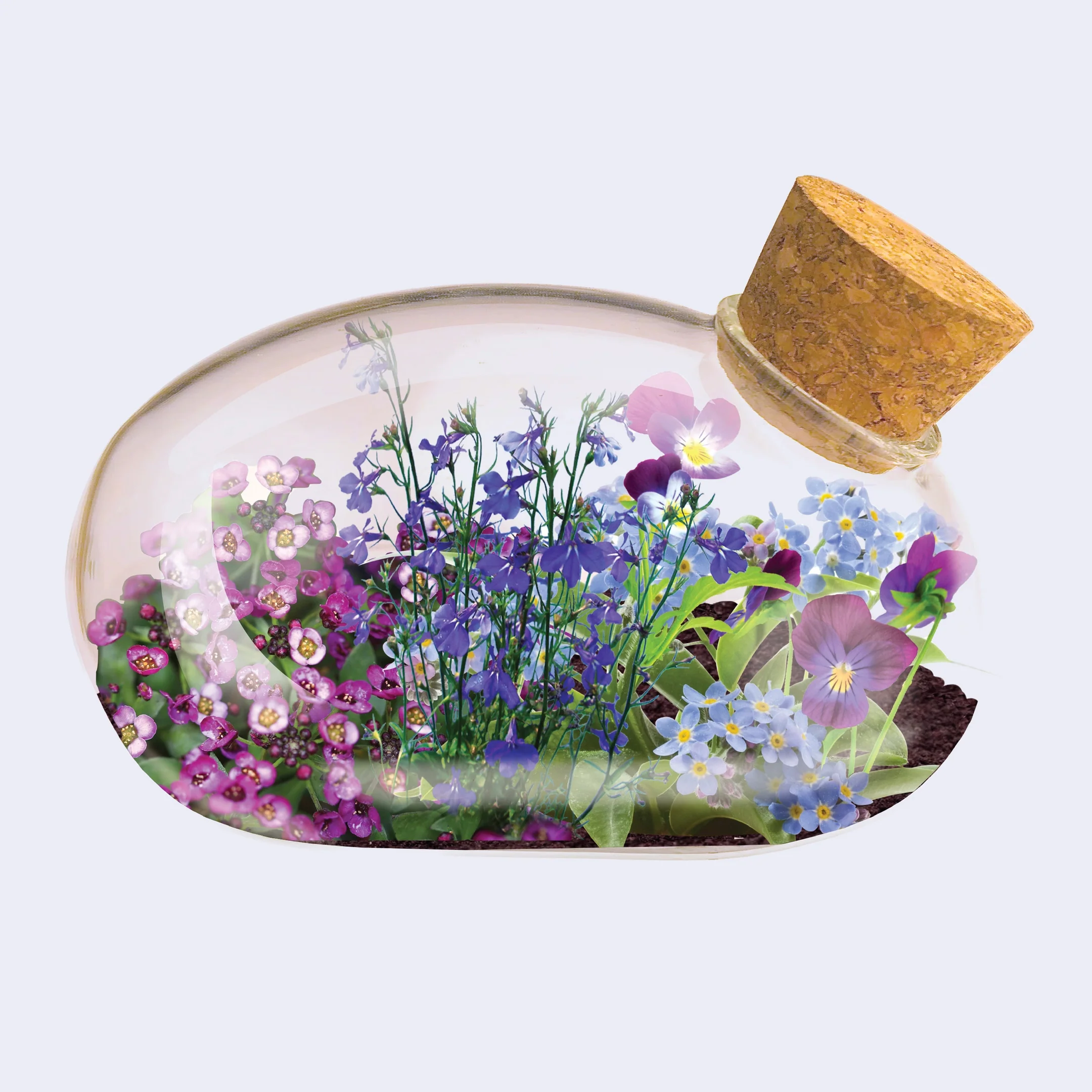 The Mouse Garden - The Flowering Mouse Terrarium Seed Kit - Image 2