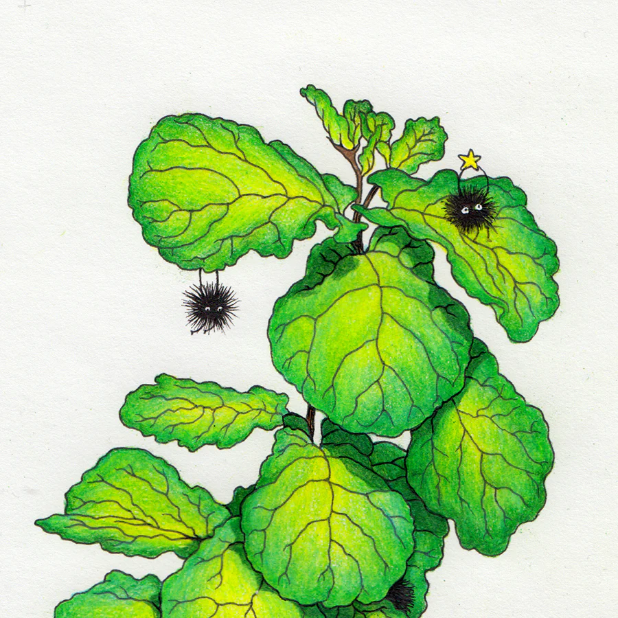 Cassia Lupo - "Fiddle Leaf Sprites" print - Image 2