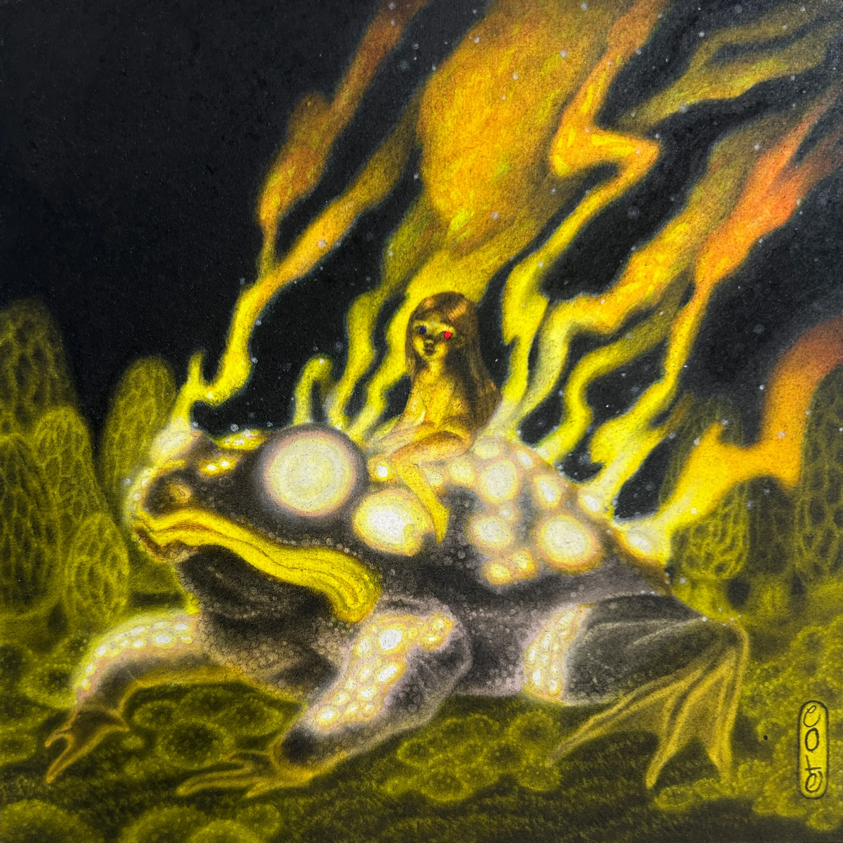 The Special Feature (2023) - Calamity Cole - "The Fire Frog"