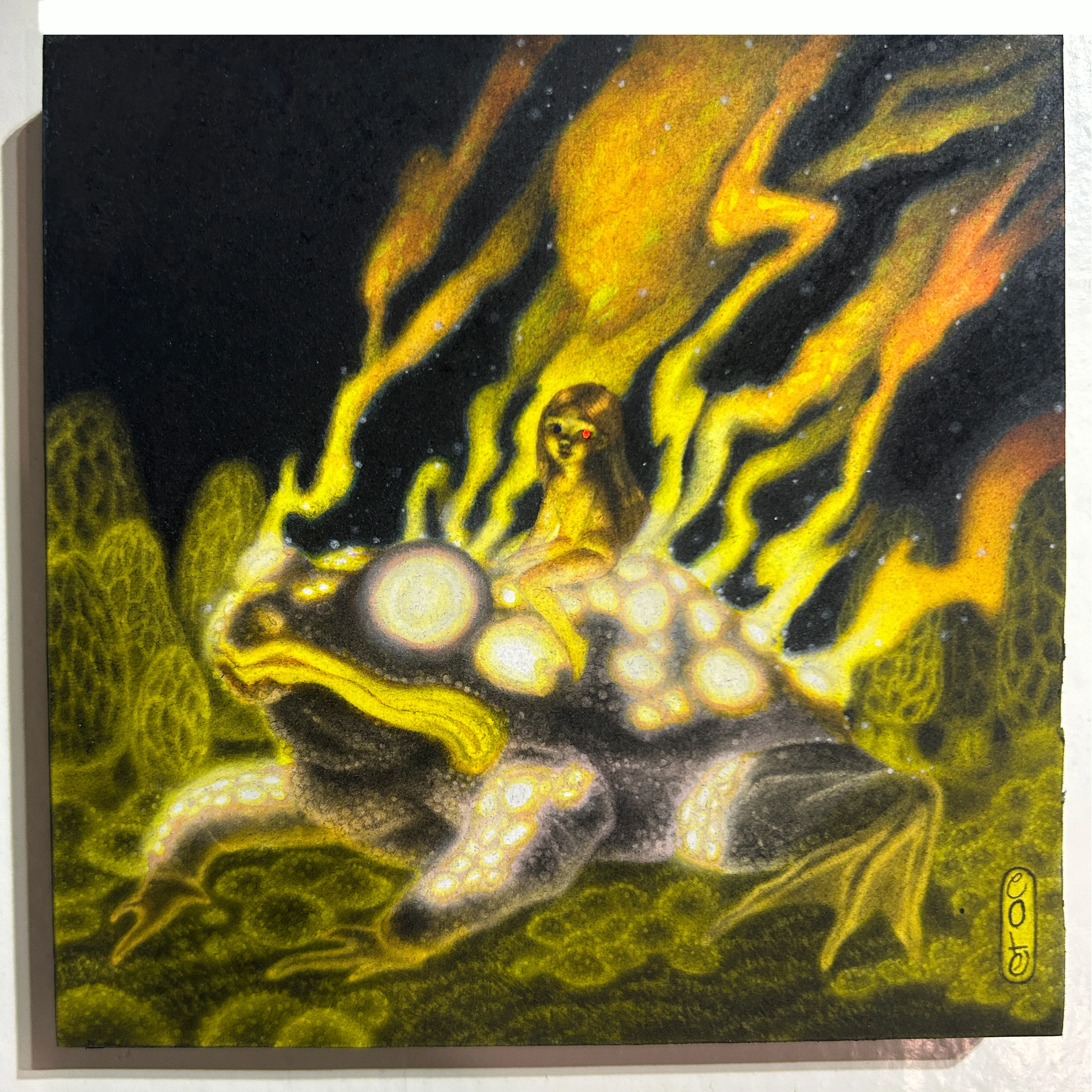 The Special Feature (2023) - Calamity Cole - "The Fire Frog" - Image 2