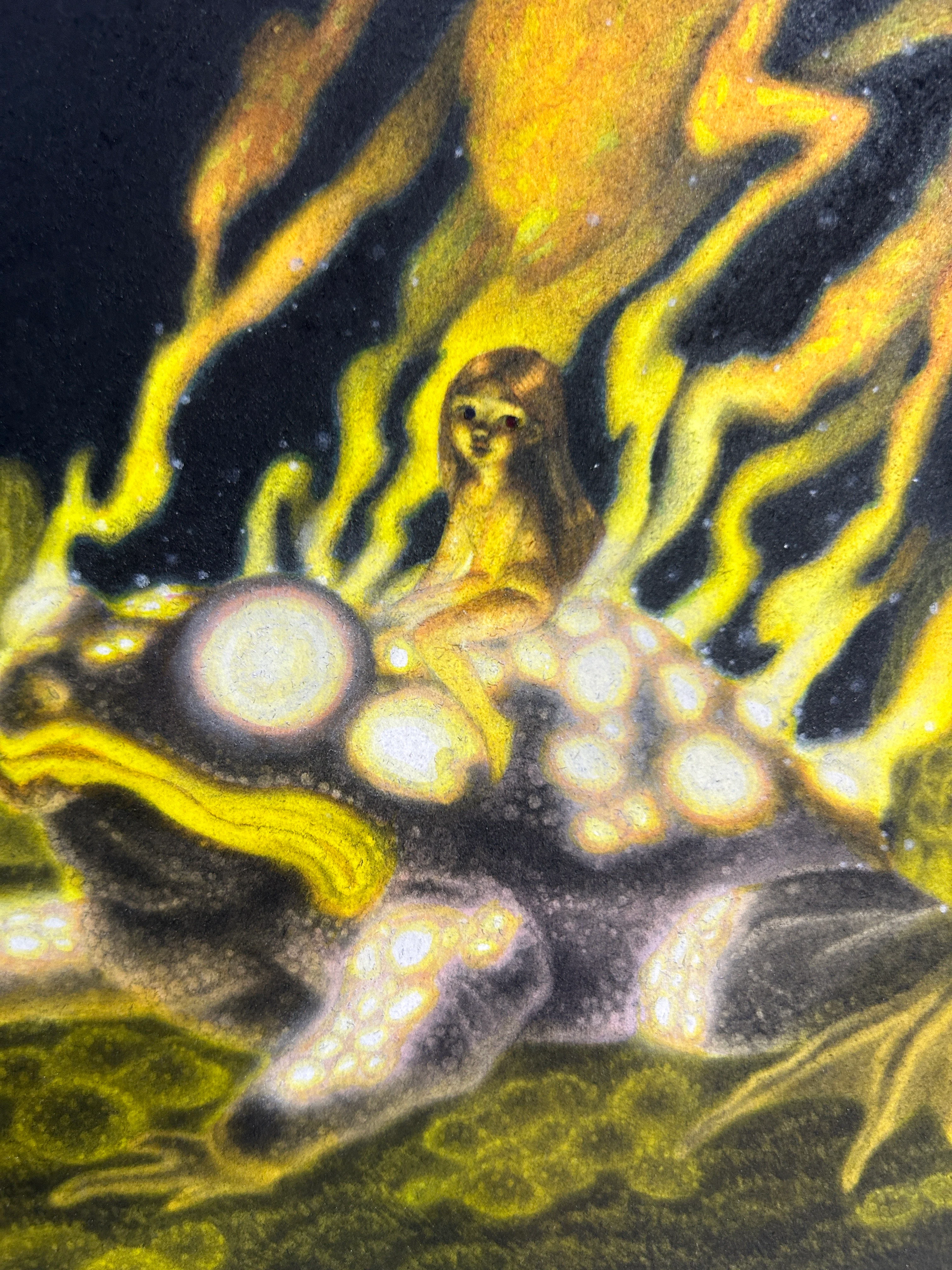 The Special Feature (2023) - Calamity Cole - "The Fire Frog" - Image 3