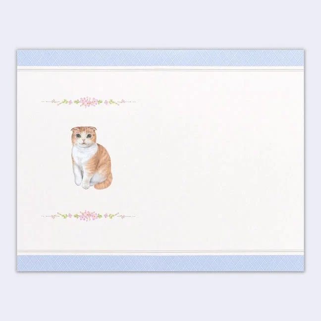 Ville et Minou - Happy Birthday Cat Greeting Card (Blue Envelope) - Image 3